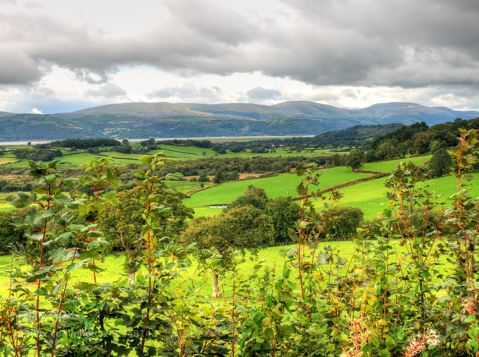 Olympus OM-D E-M1 sample photo. The dyfi estuary across photography