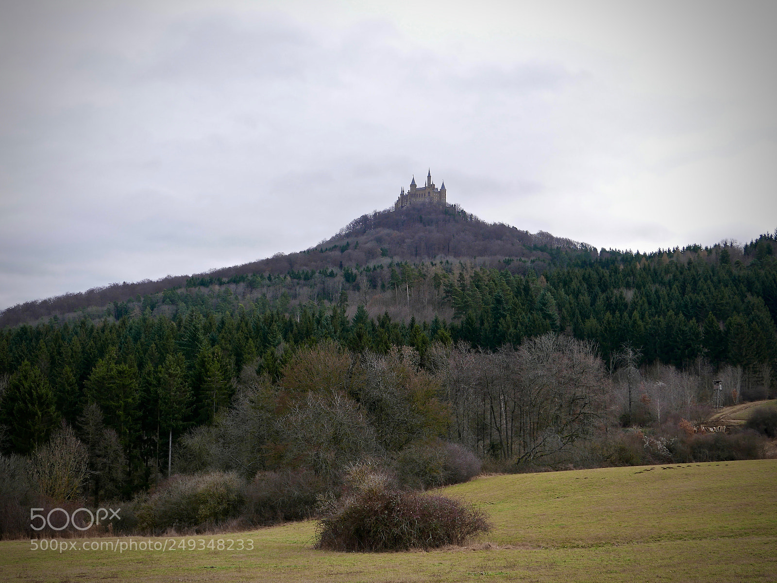Leica D-Lux (Typ 109) sample photo. Look to the hilltop photography