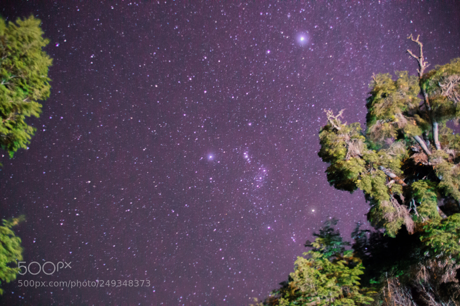 Nikon D3200 sample photo. Stars photography