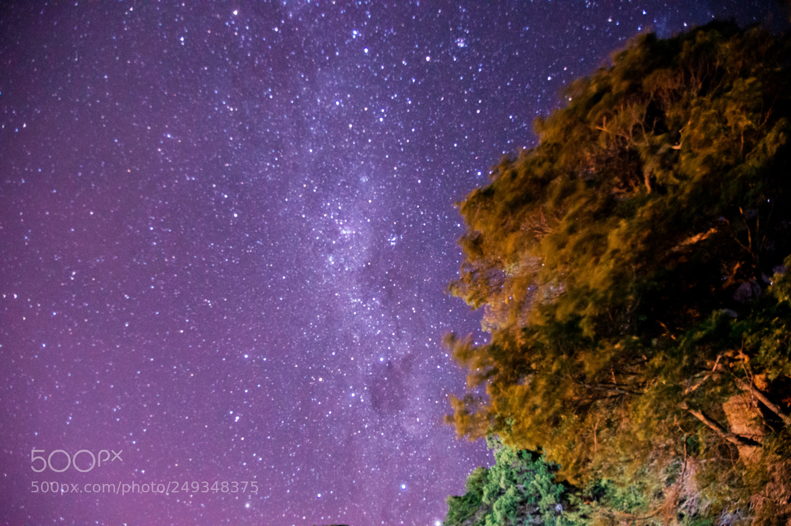 Nikon D3200 sample photo. Stars photography