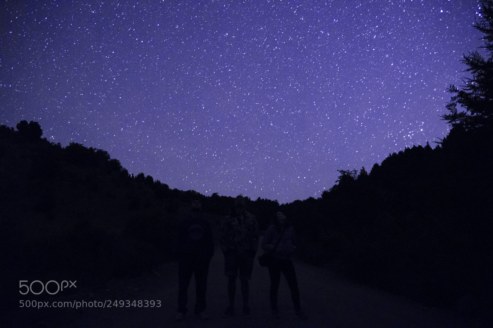 Nikon D3200 sample photo. Stars photography