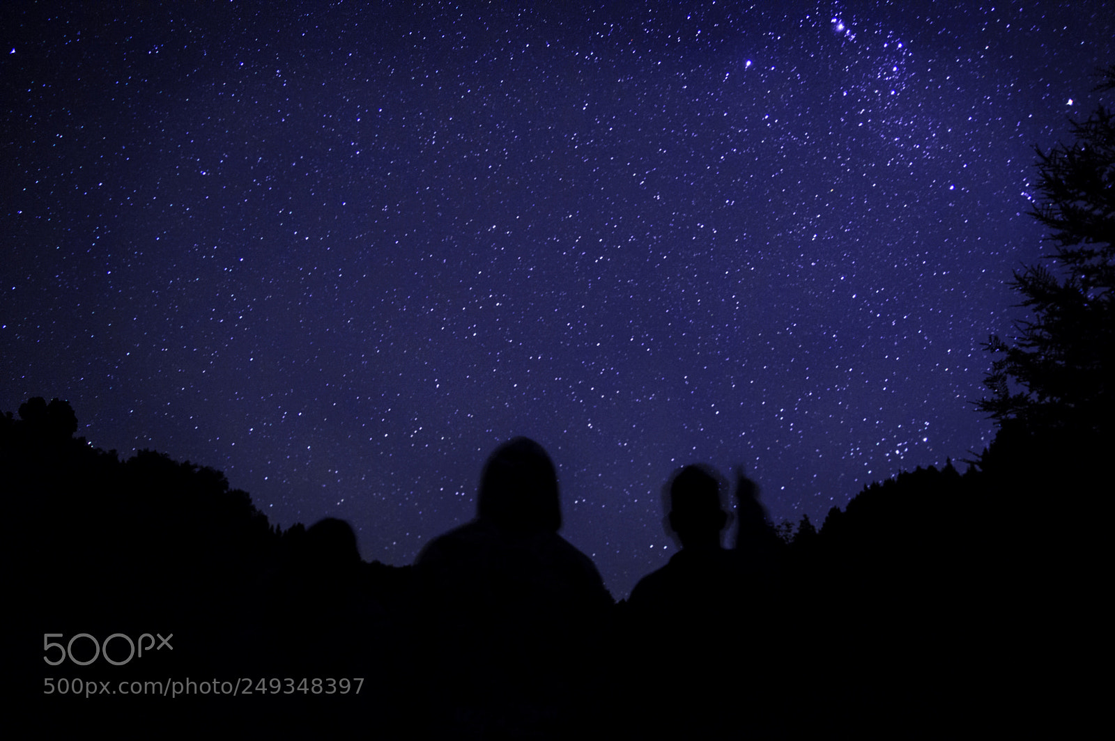 Nikon D3200 sample photo. Stars photography