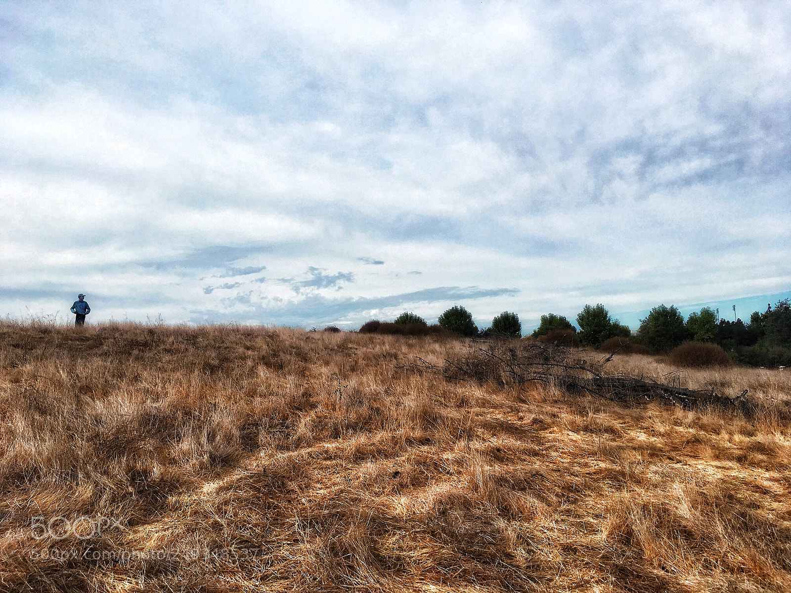 Apple iPad Pro sample photo. Horizon photography