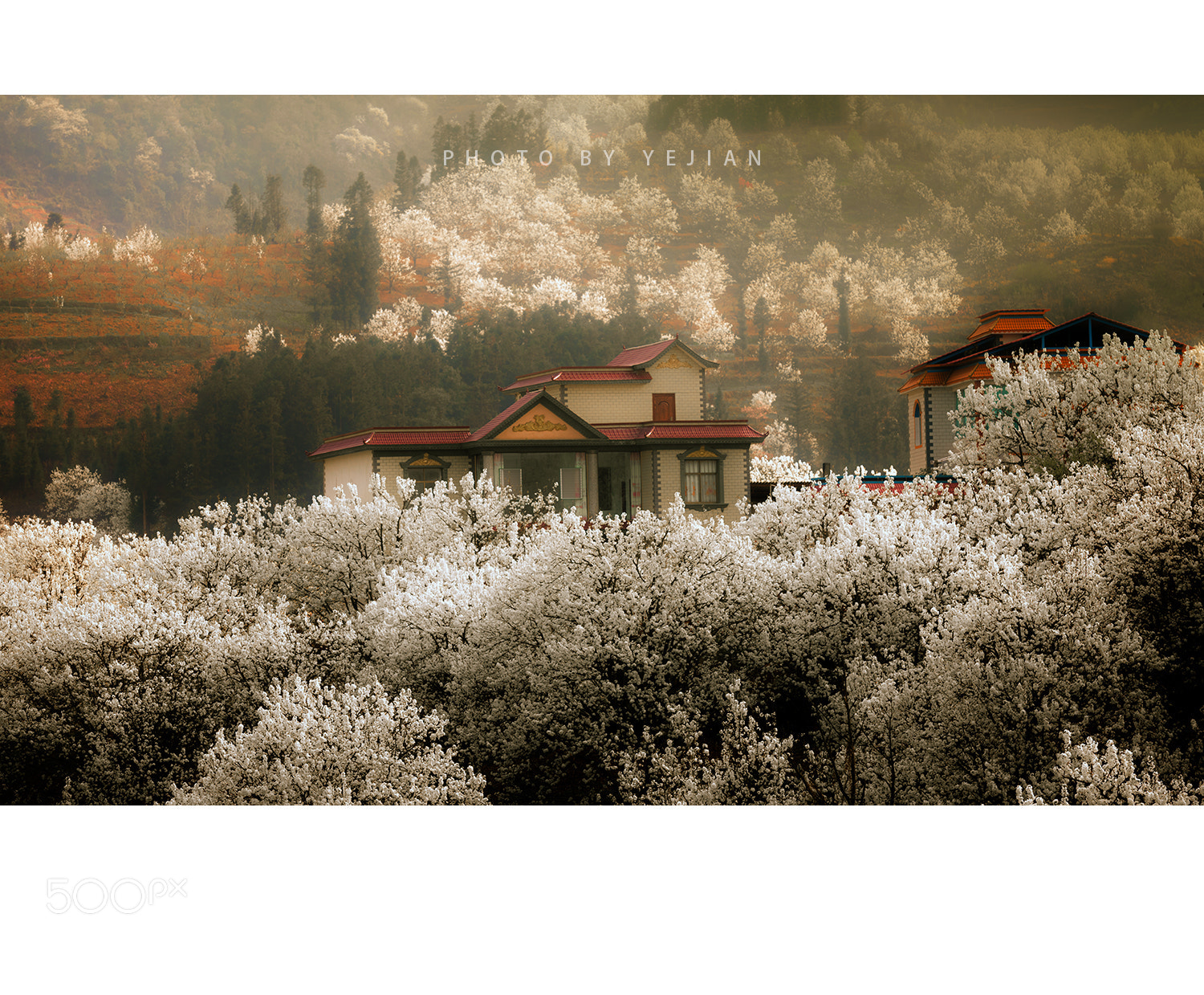 Nikon D810 sample photo. 美丽乡村_4 photography