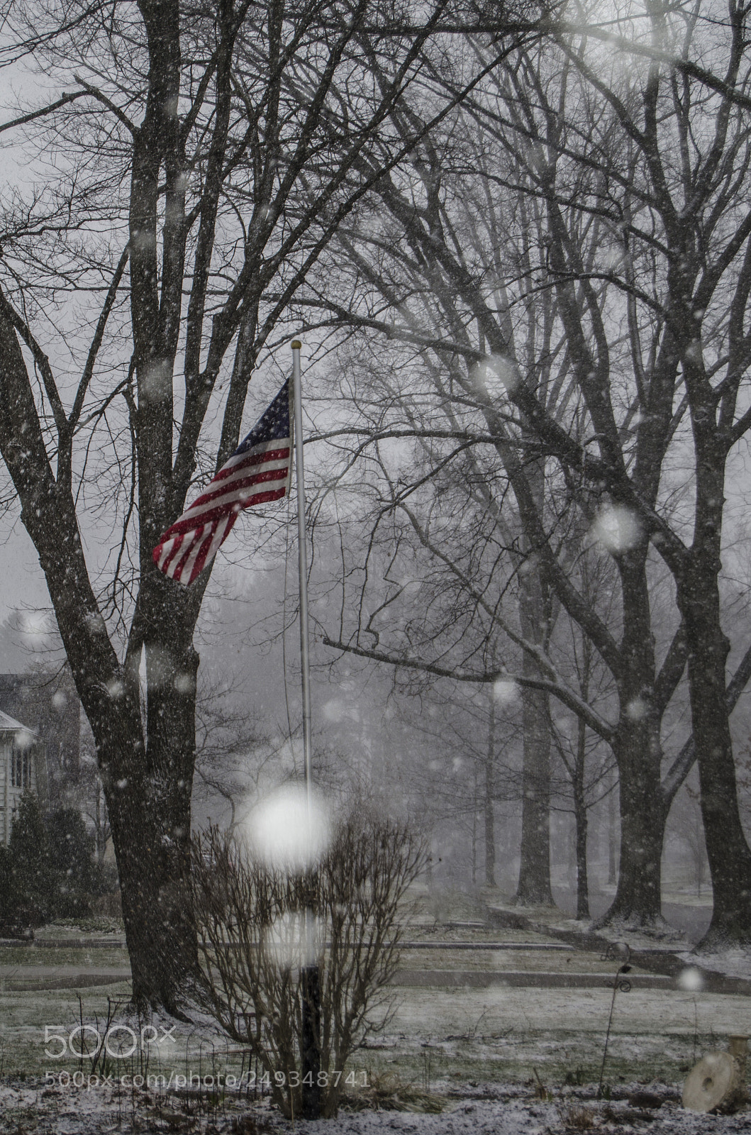 Nikon D7000 sample photo. March winter photography