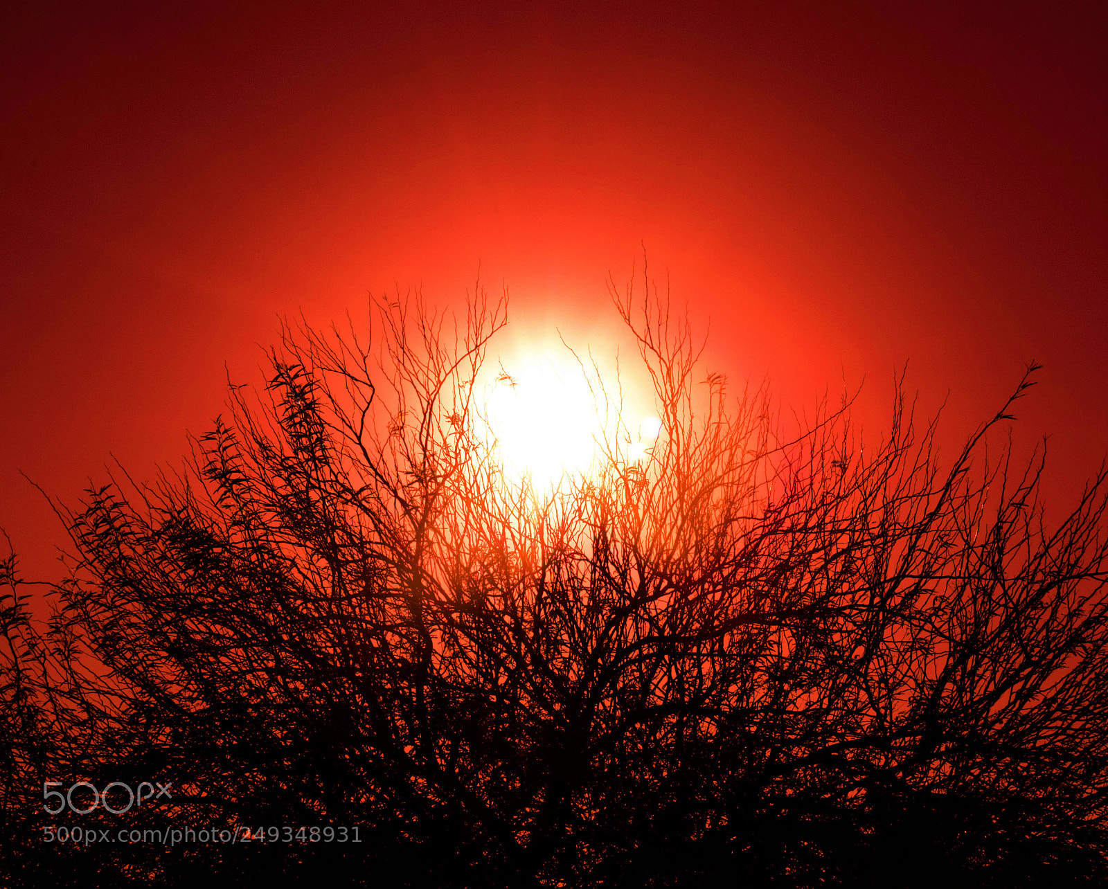 Nikon D5300 sample photo. Red one photography