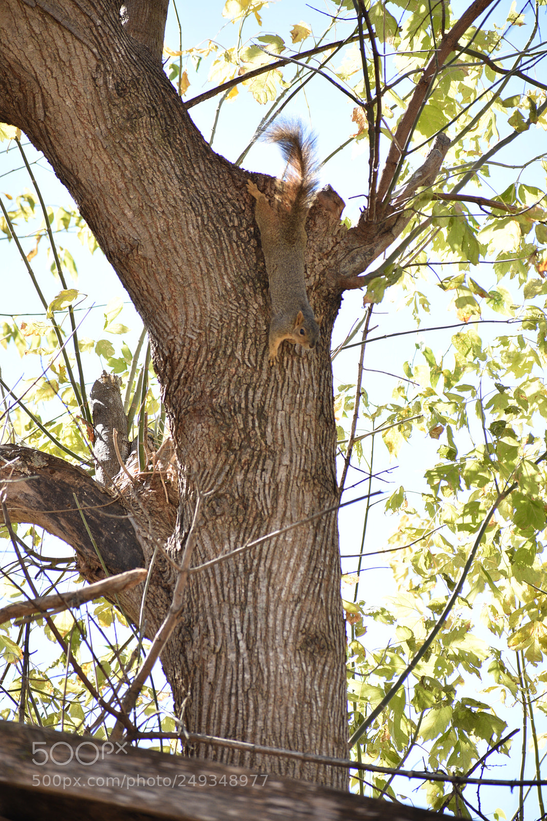 Nikon D3400 sample photo. Backwards climbing photography