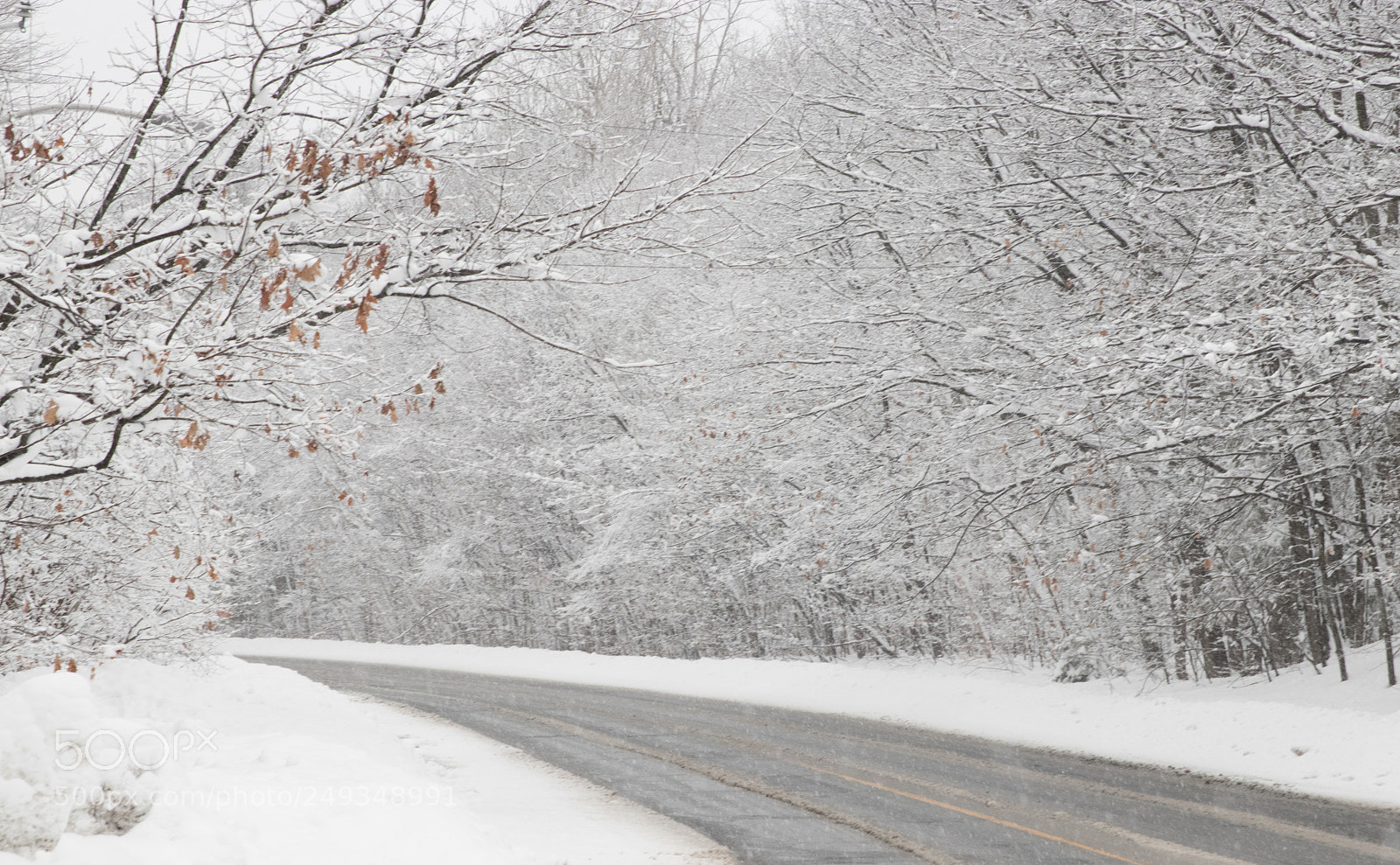 Canon EOS 80D sample photo. Snow storm photography