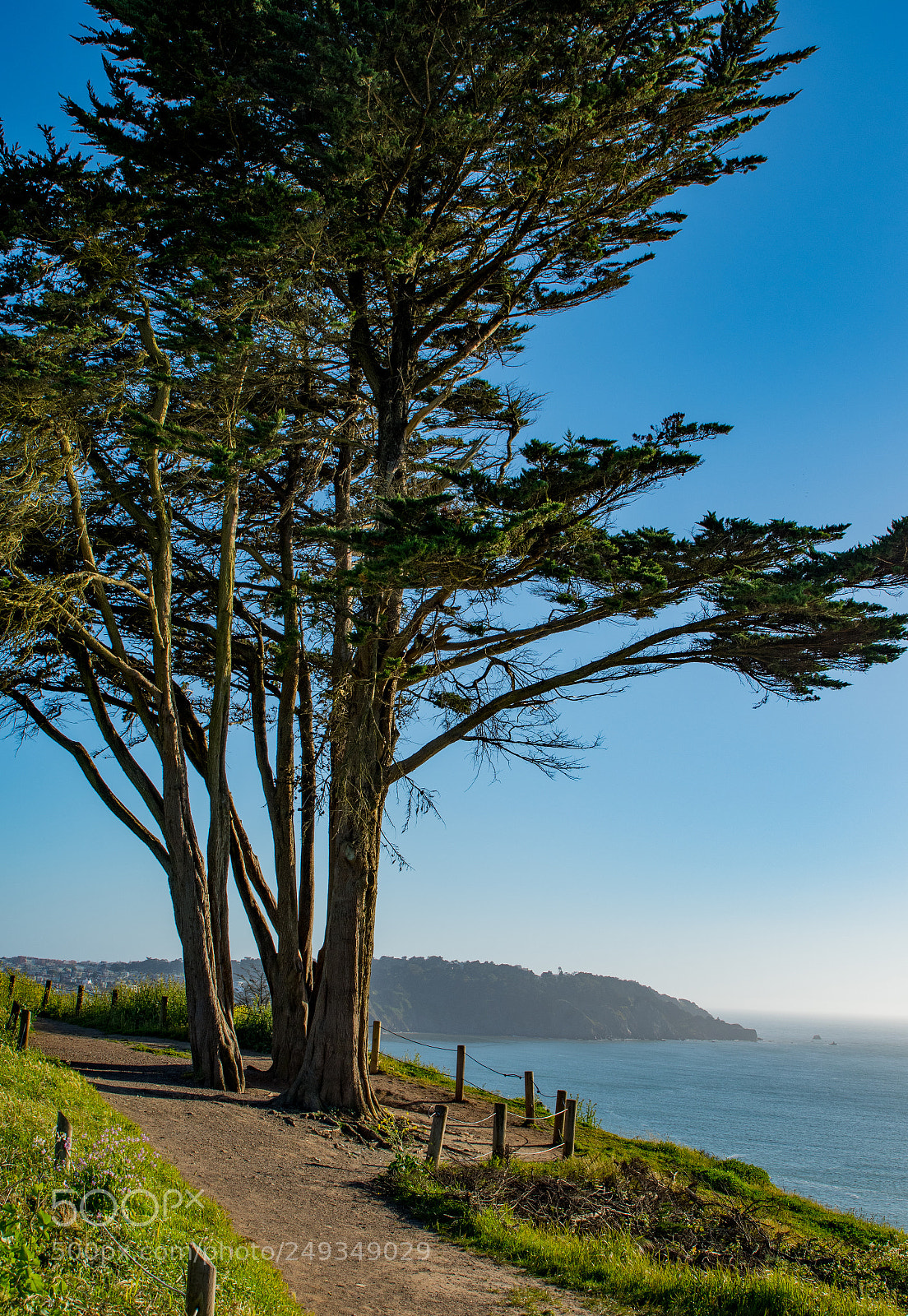 Nikon D500 sample photo. San francisco bay photography