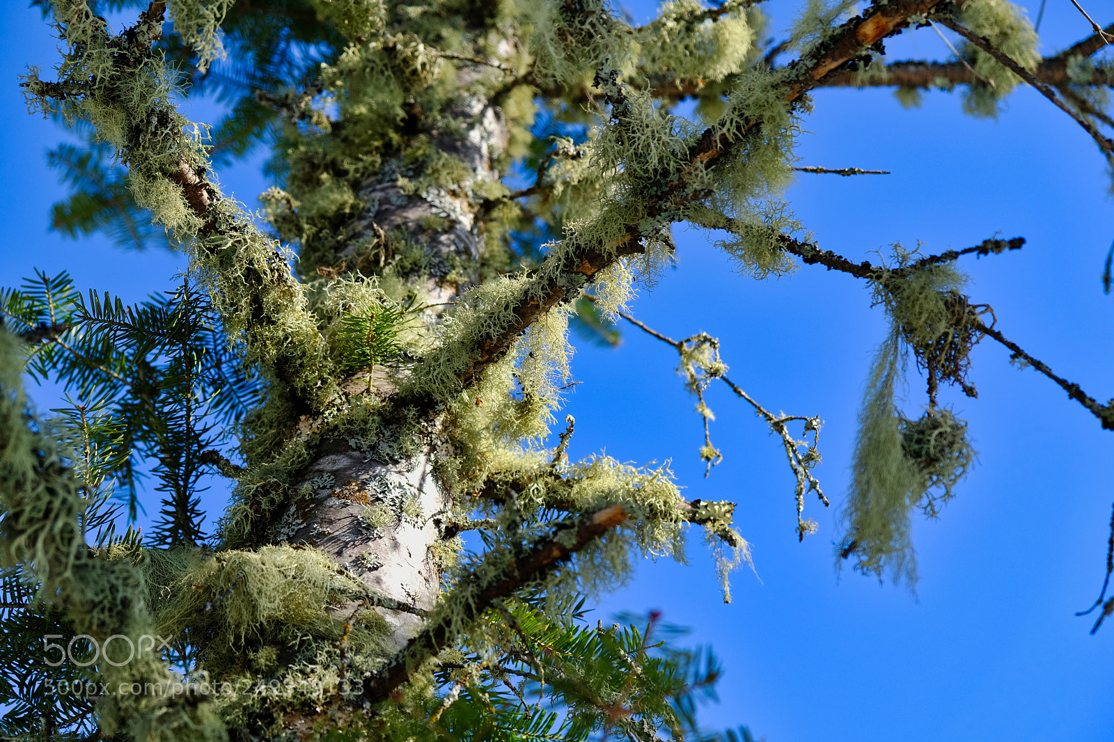 Fujifilm X-T20 sample photo. Untitled photography