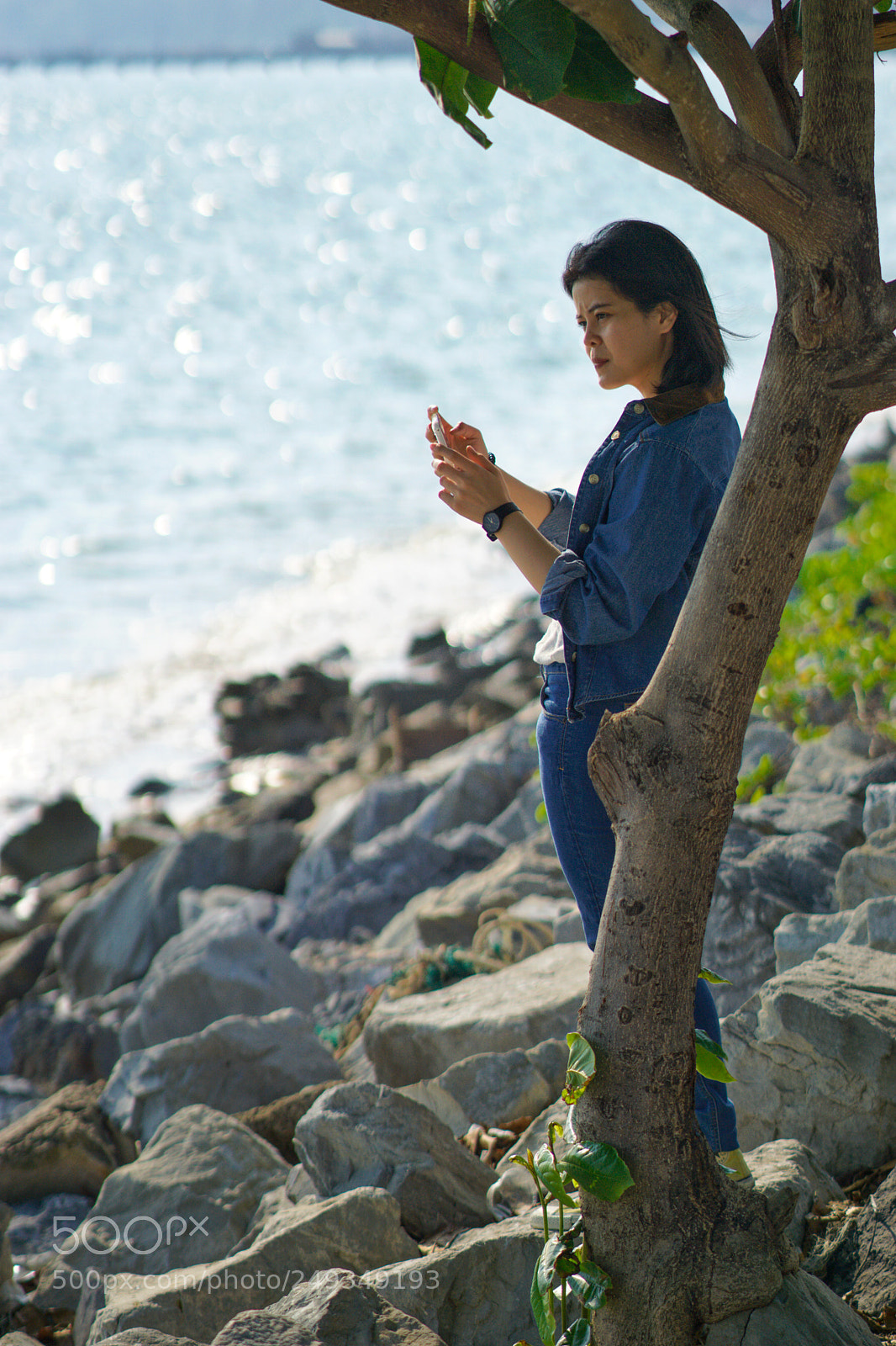 Sony a5100 sample photo. Sattahip​gallery​#3 photography