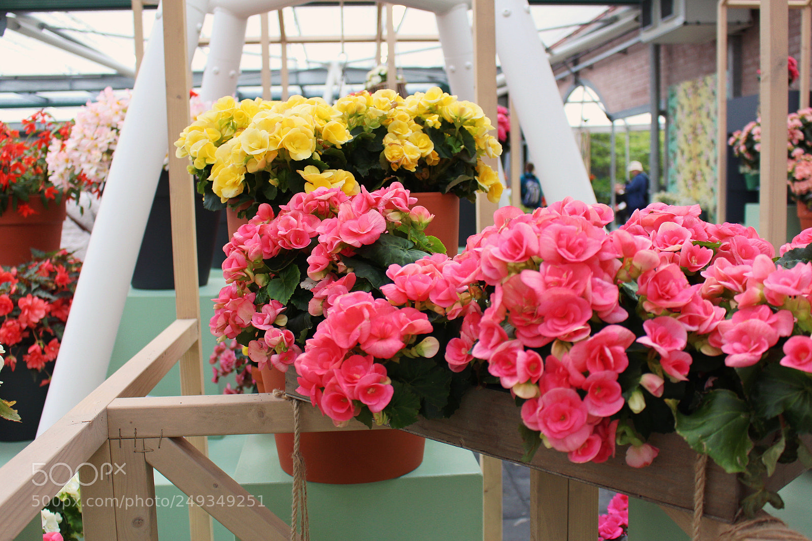Canon EOS 700D (EOS Rebel T5i / EOS Kiss X7i) sample photo. Everywhere you look is photography
