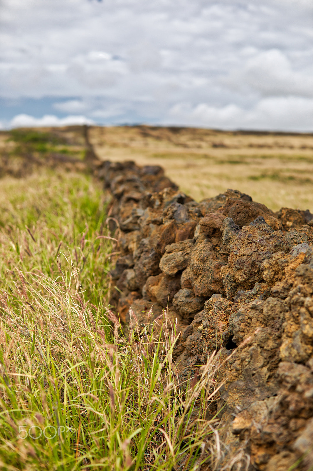 Canon EF 50mm F1.4 USM sample photo. Lava rock fence photography