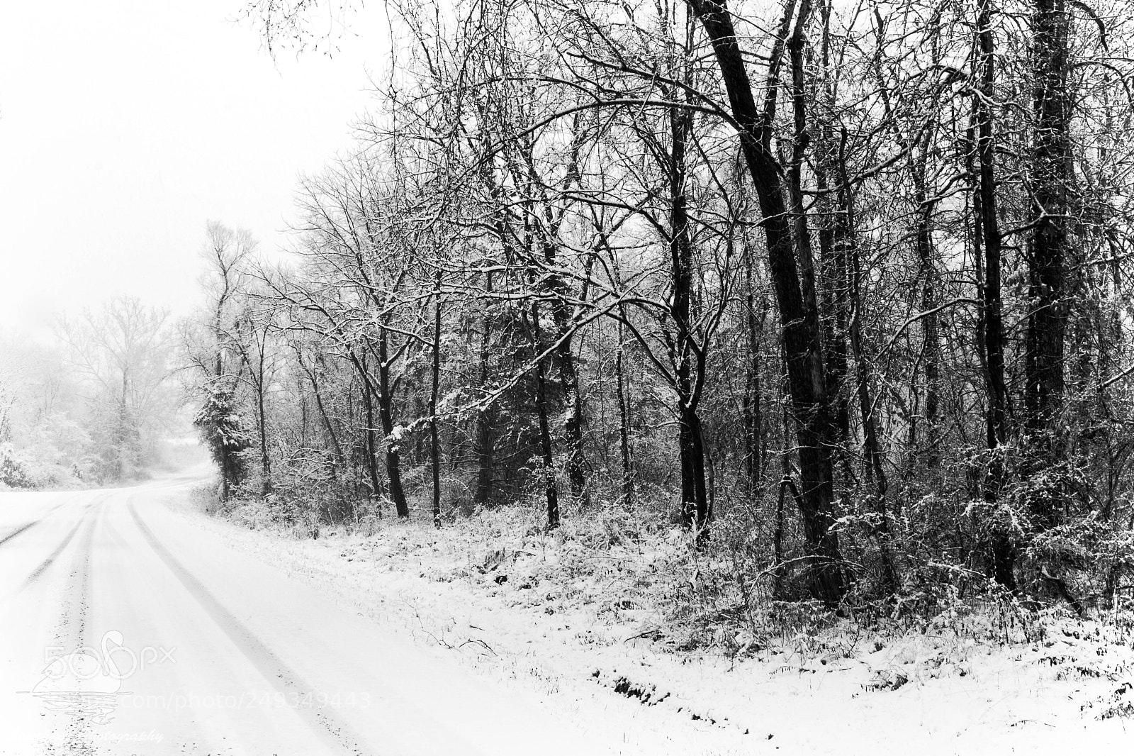 Nikon D5200 sample photo. Winter storm photography