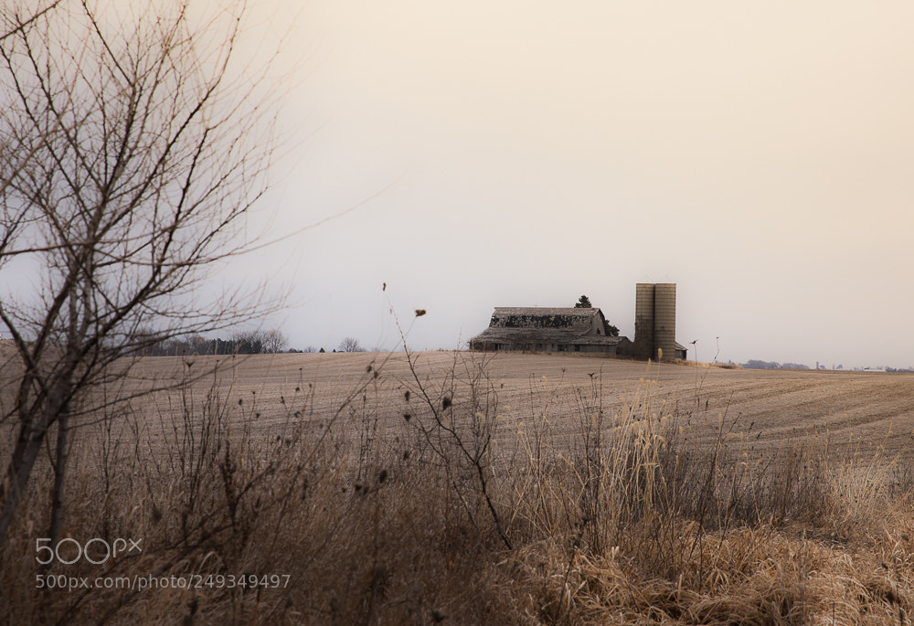 Canon EOS 5D Mark IV sample photo. Barn photography