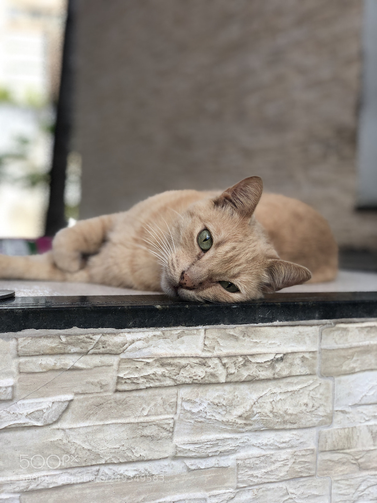 Apple iPhone X sample photo. #shotiniphone photography