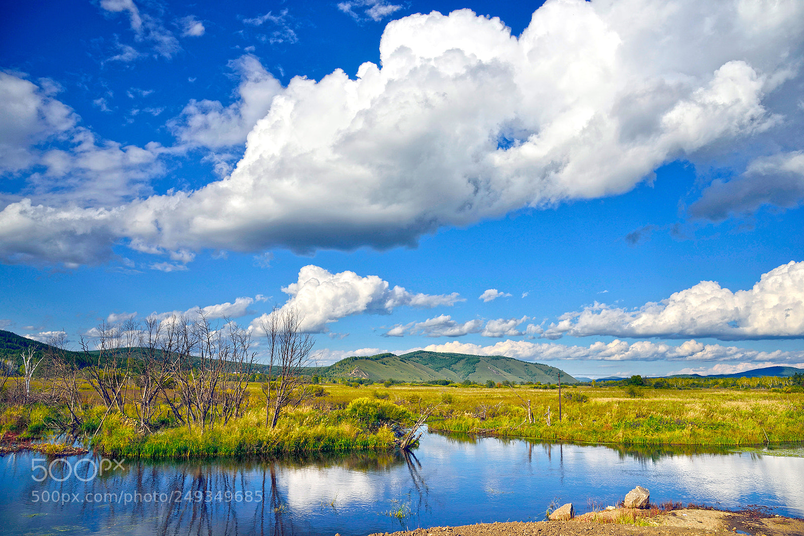 Nikon D800 sample photo. Clear blue skies photography