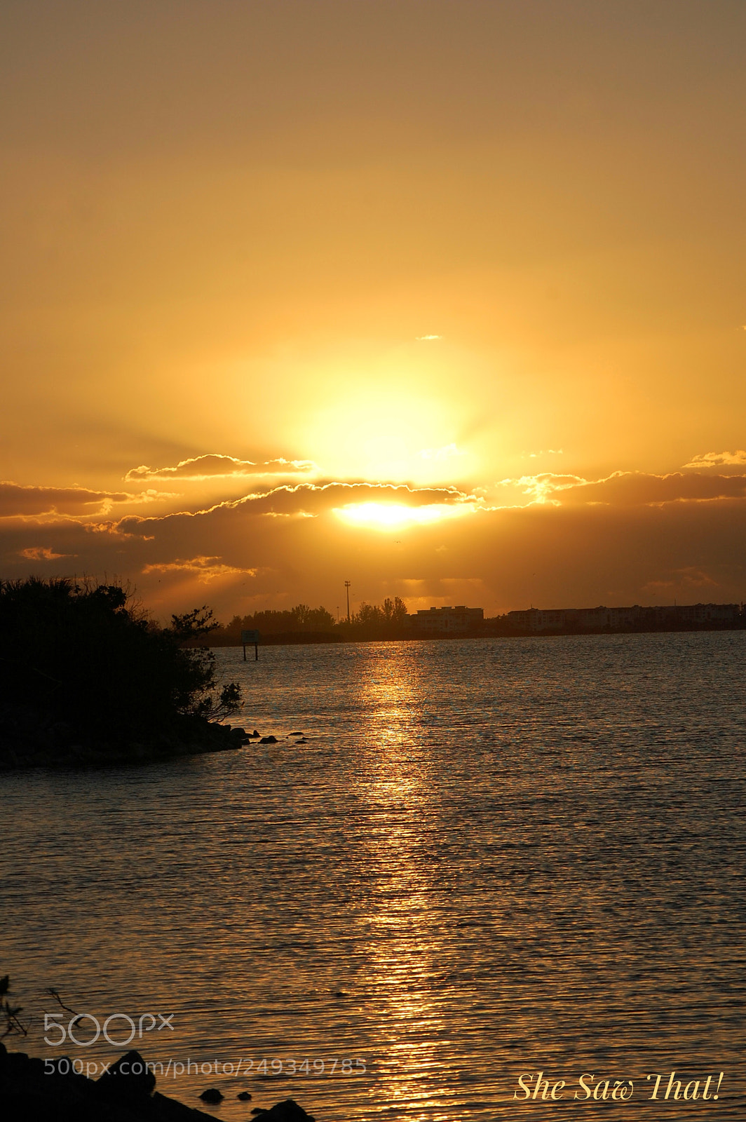 Nikon D40 sample photo. Untitled photography