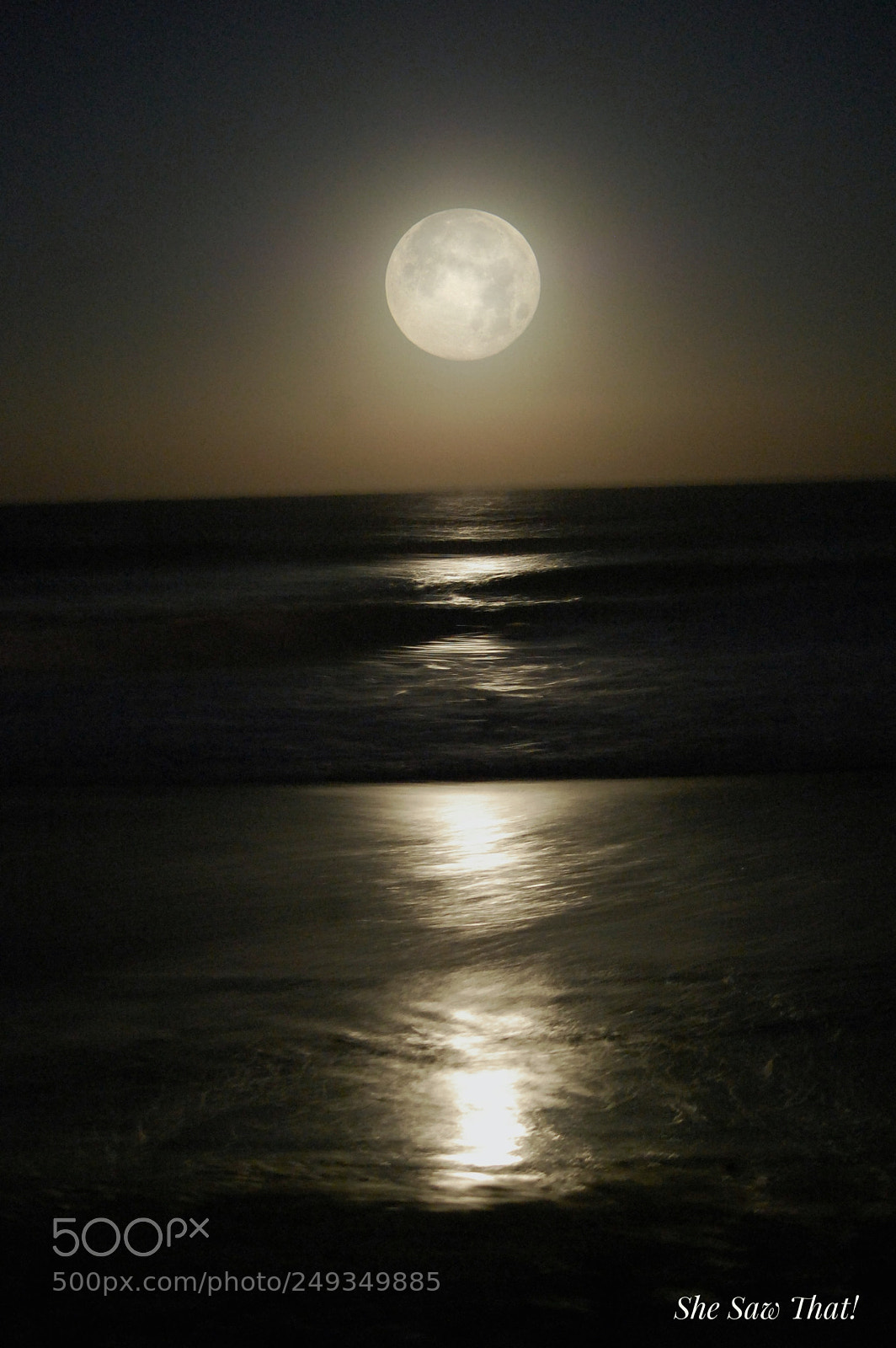 Nikon D40 sample photo. Untitled photography
