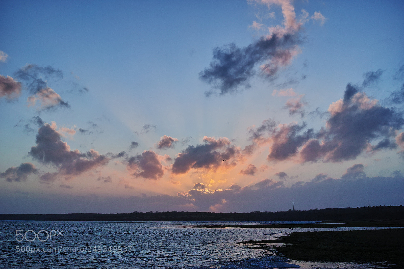 Sigma dp2 Quattro sample photo. Sunset photography