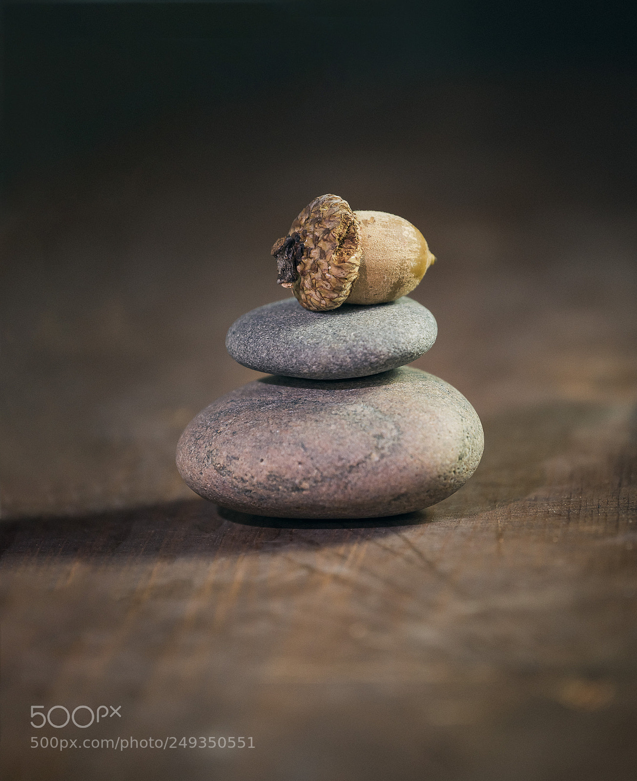Sony SLT-A99V sample photo. Find your balance in photography