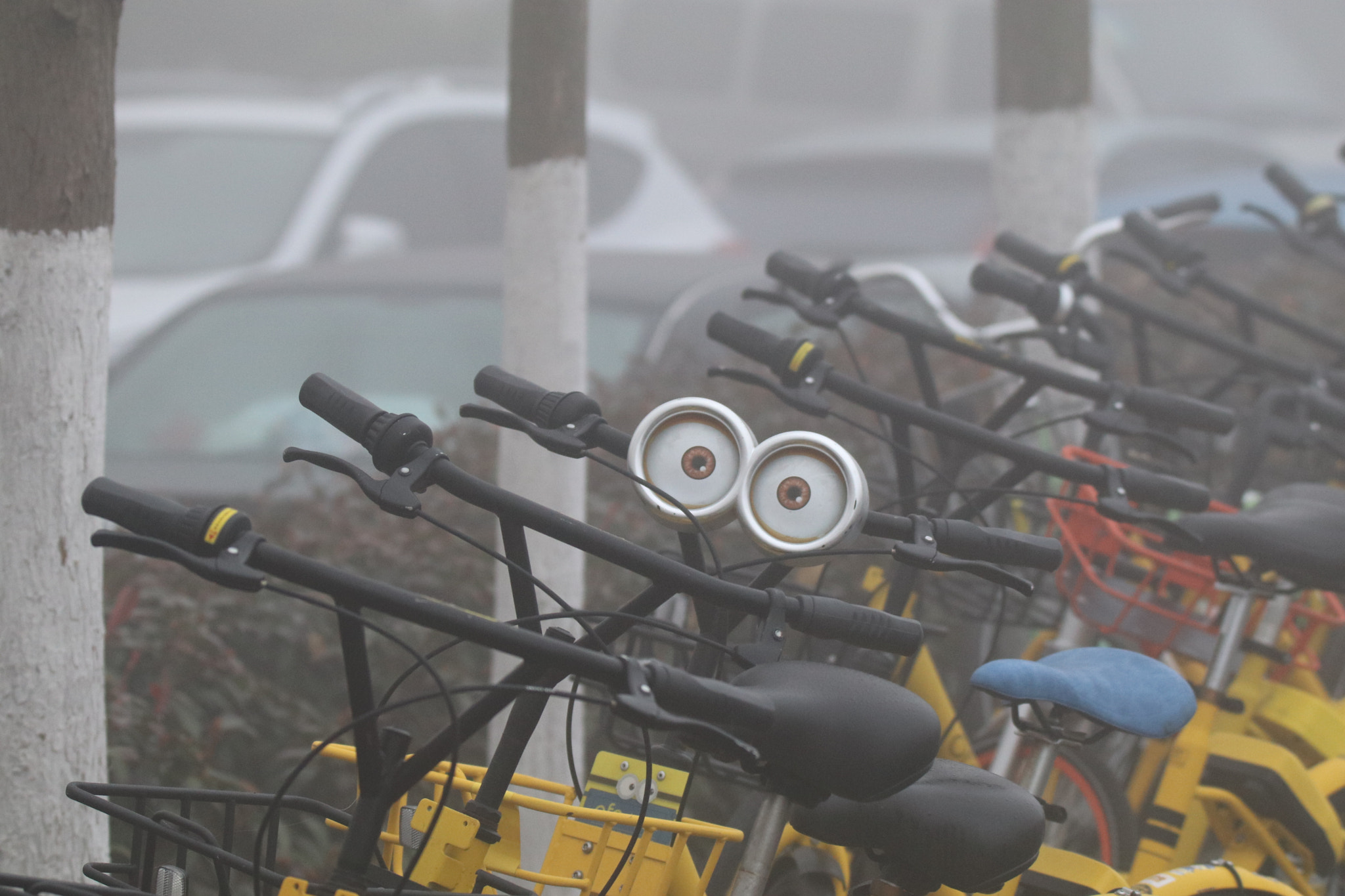Tamron SP 150-600mm F5-6.3 Di VC USD sample photo. 我在哪里？where am i? photography