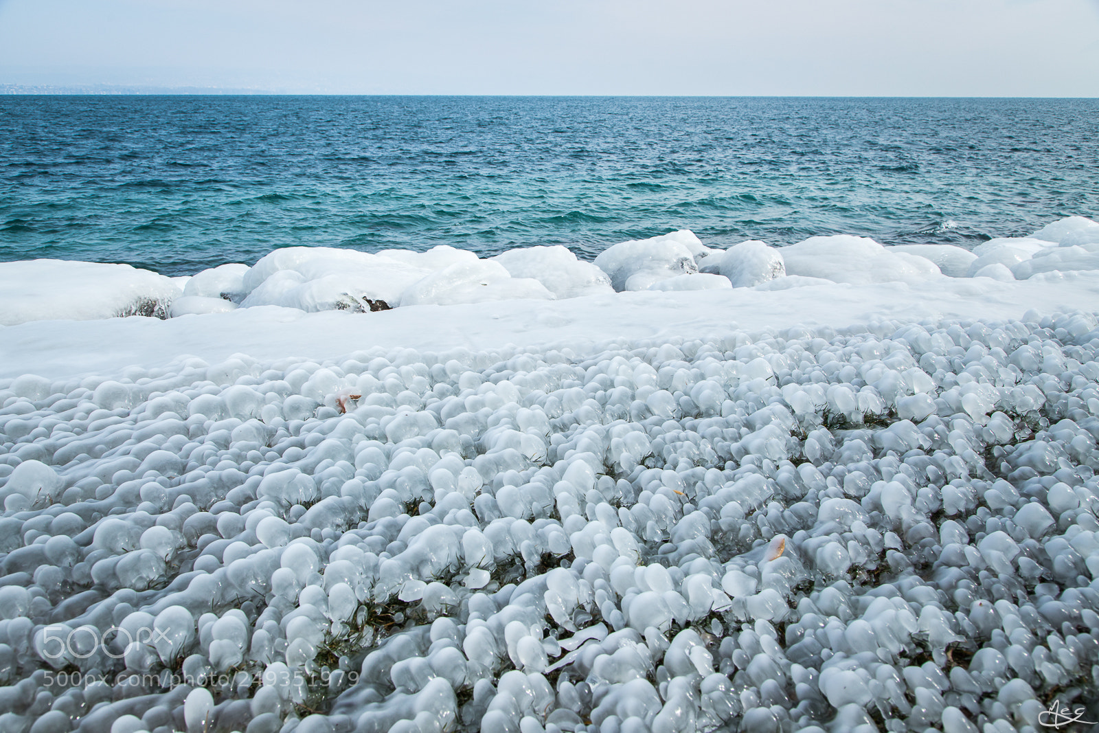 Canon EOS 6D Mark II sample photo. Frozen grass photography