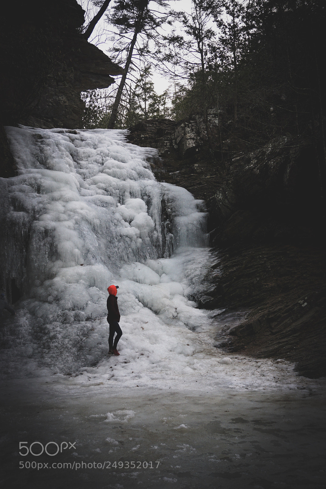 Sony a6000 sample photo. Freeze. photography