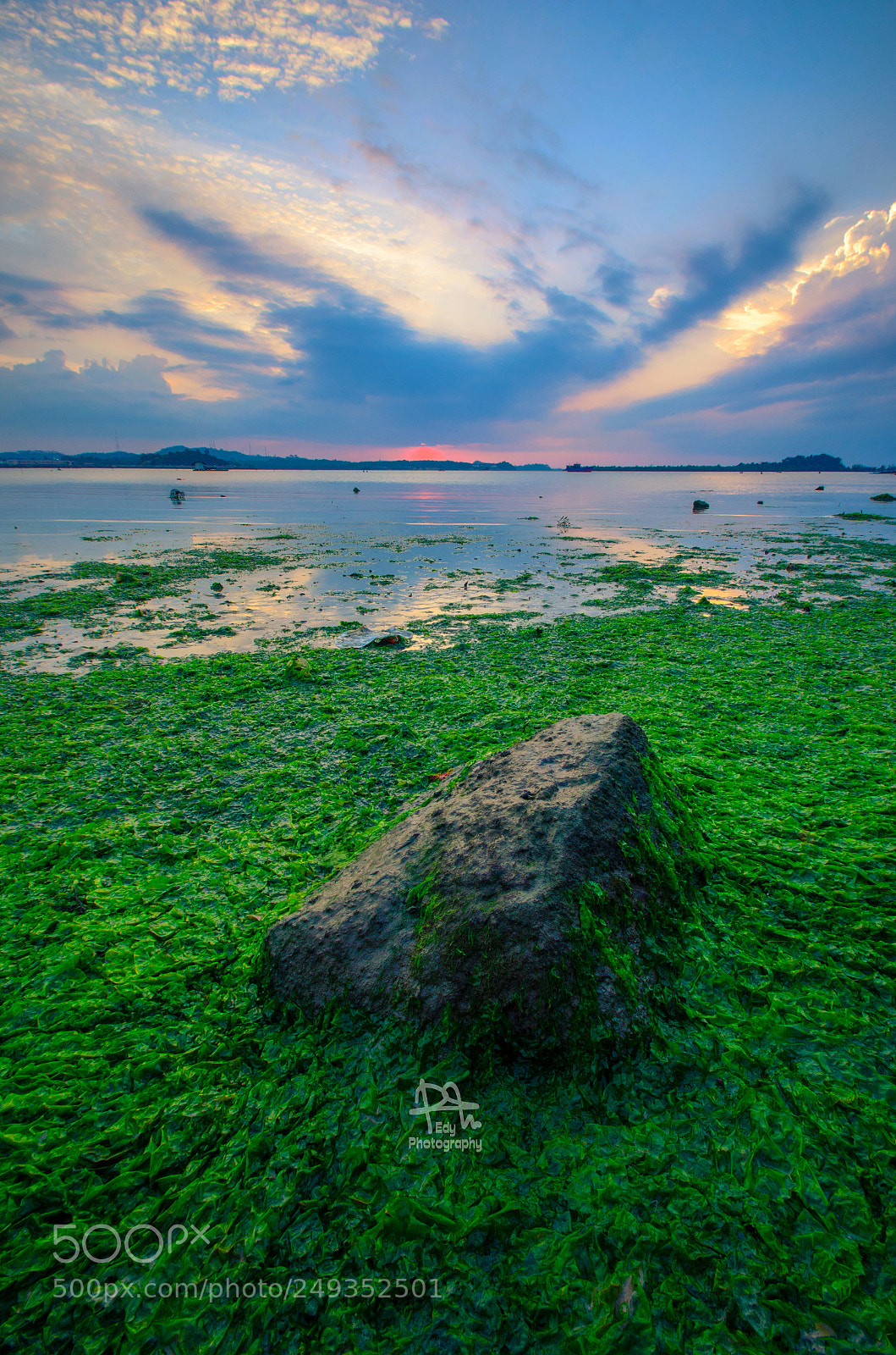 Nikon D5100 sample photo. Moss photography