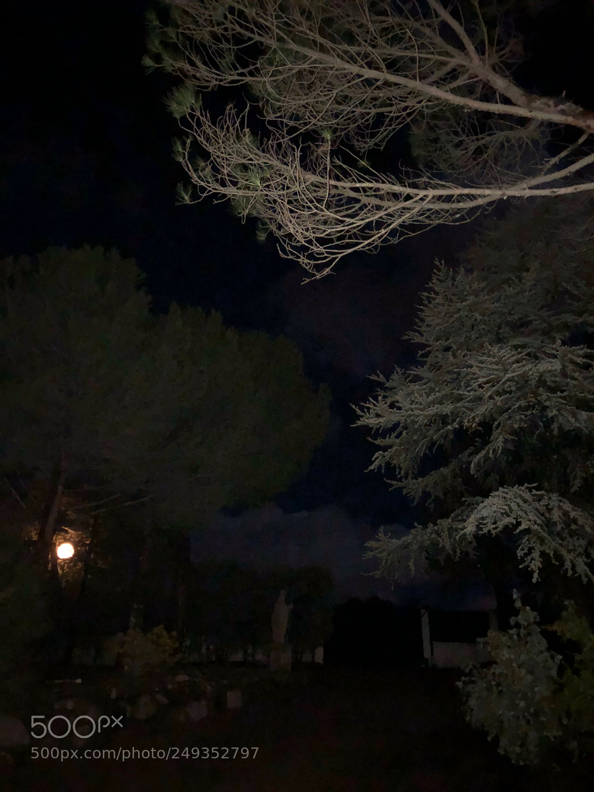 Apple iPhone 8 Plus sample photo. Night photography