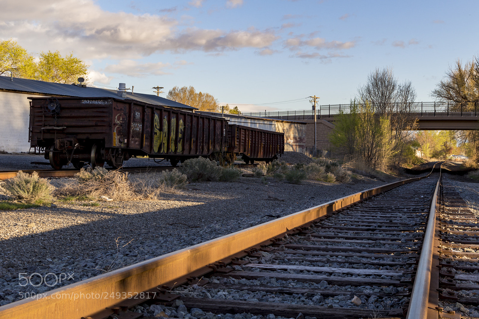 Canon EOS 100D (EOS Rebel SL1 / EOS Kiss X7) sample photo. Abandoned train cars photography