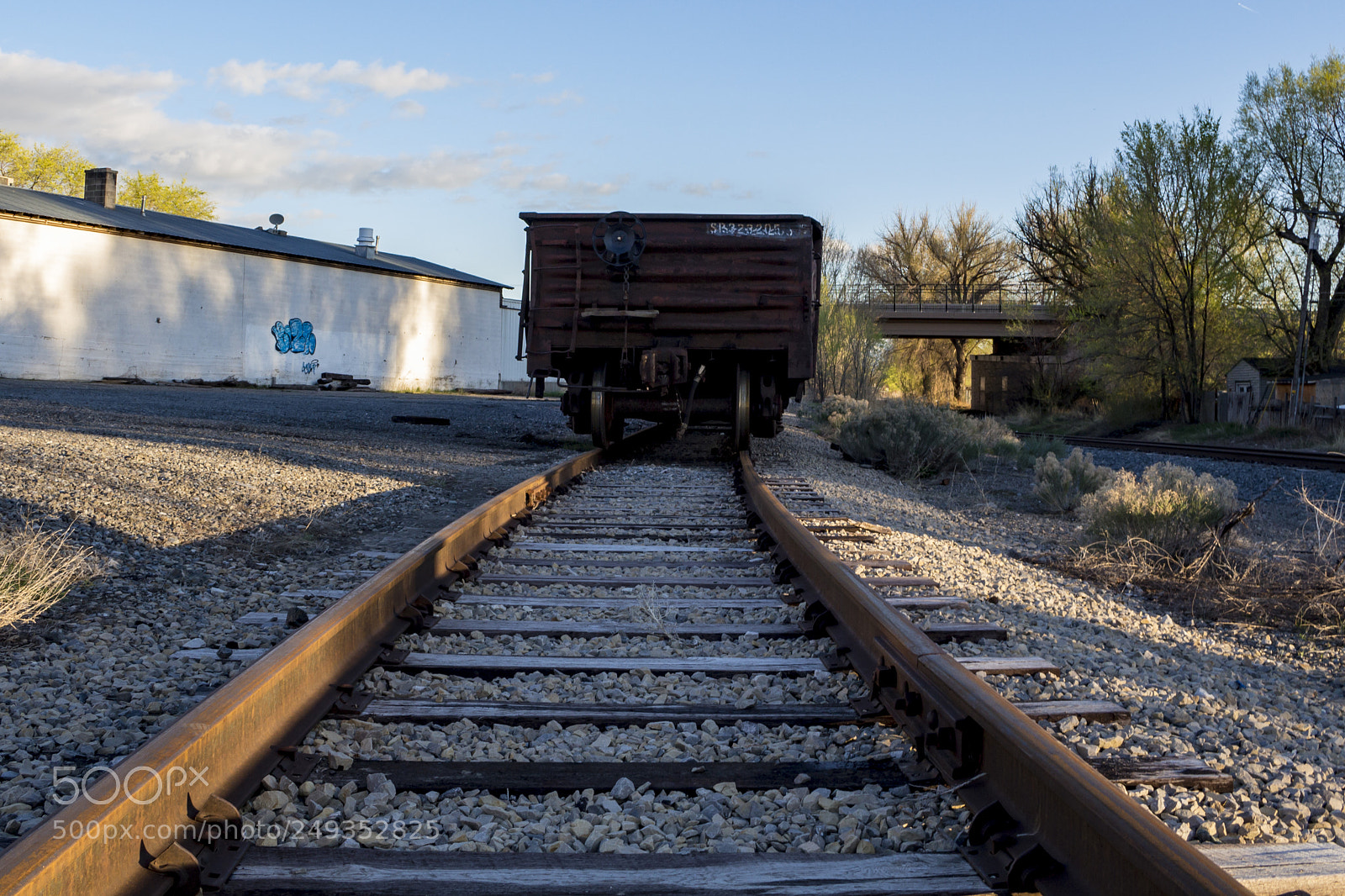 Canon EOS 100D (EOS Rebel SL1 / EOS Kiss X7) sample photo. Abandoned train cars photography