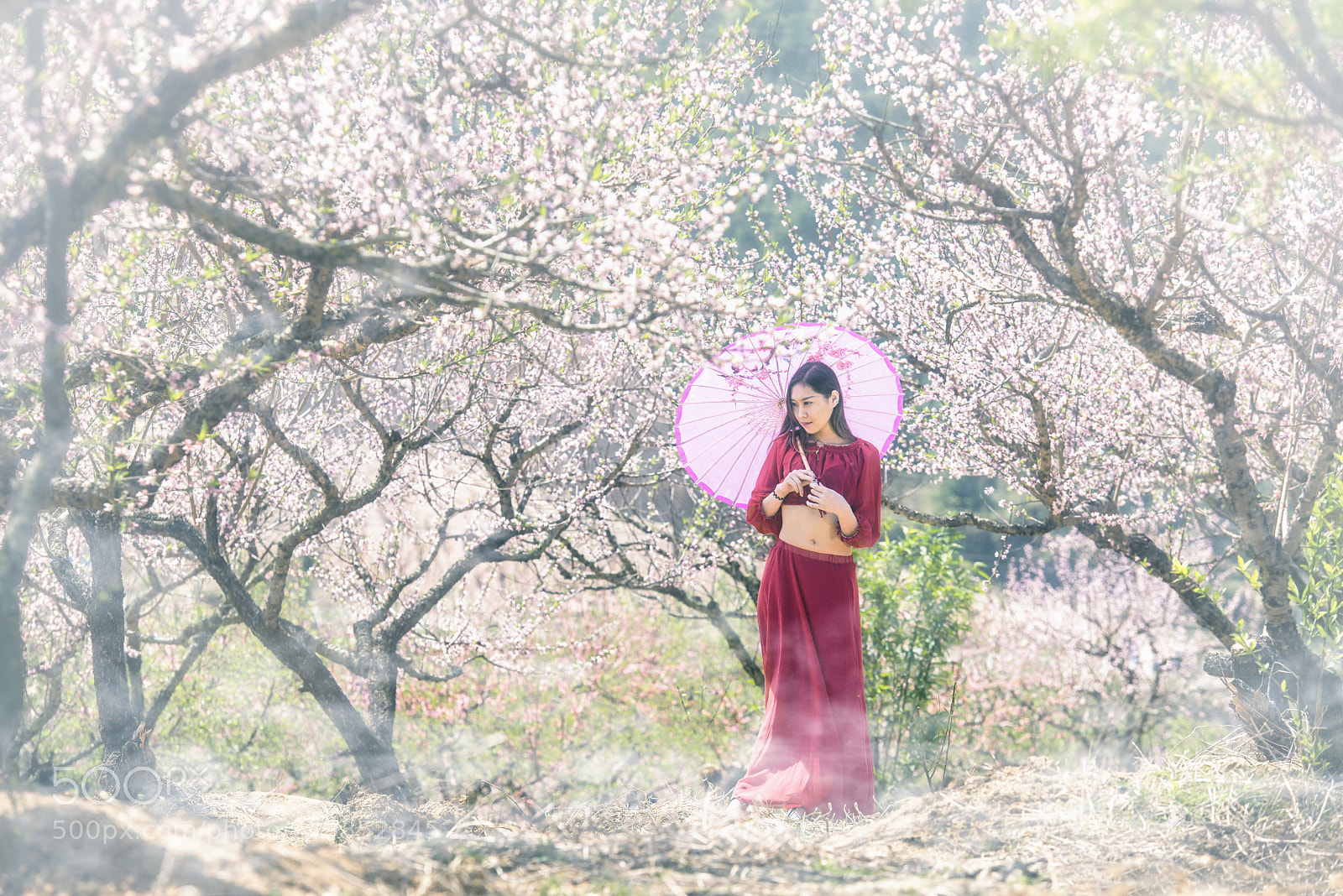 Nikon D800 sample photo. 《人面桃花相映紅》 photography