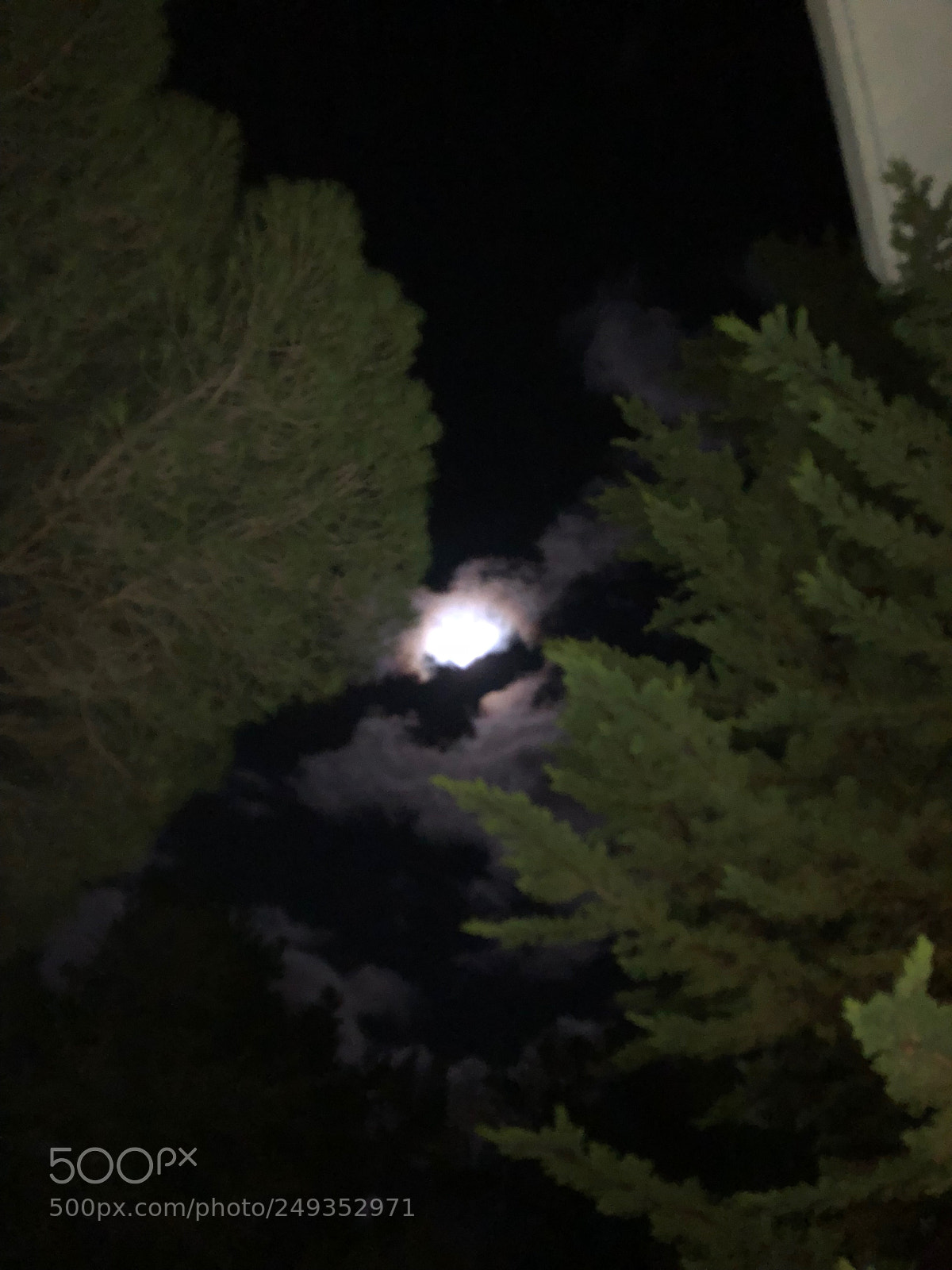 Apple iPhone 8 Plus sample photo. Night photography