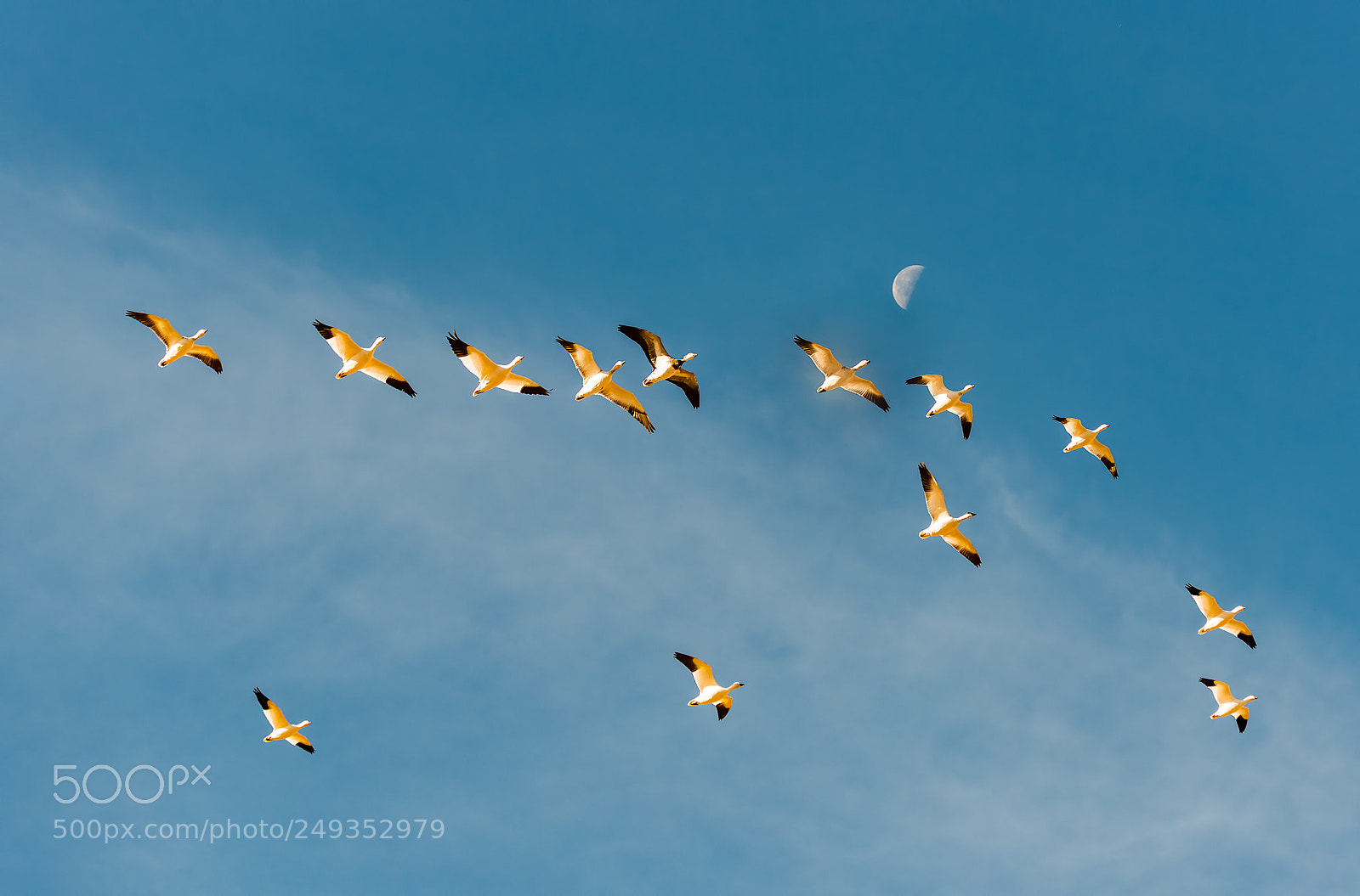 Nikon D800 sample photo. Flying to the moon photography