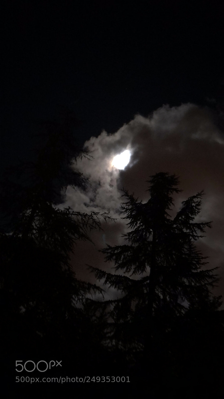 Apple iPhone 8 Plus sample photo. Night photography