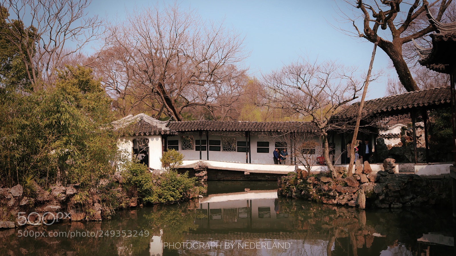Canon EOS 750D (EOS Rebel T6i / EOS Kiss X8i) sample photo. The humble administrator's garden photography