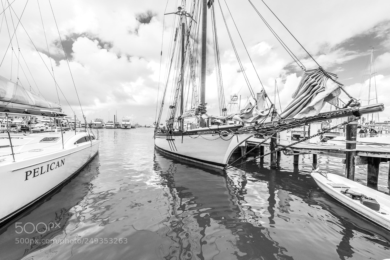 Nikon D810 sample photo. Key west marina photography