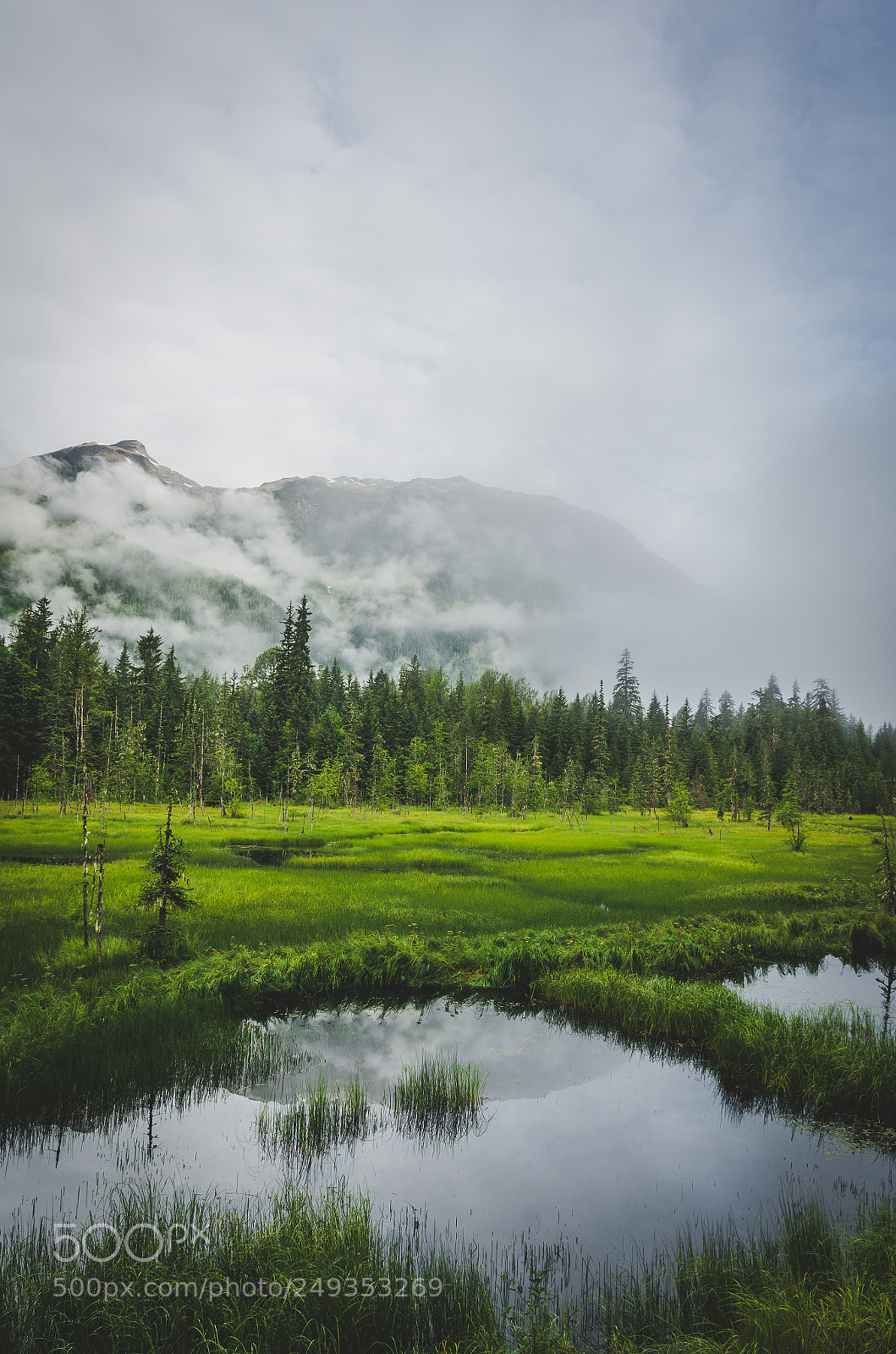 Nikon D7000 sample photo. Tongass national forest photography