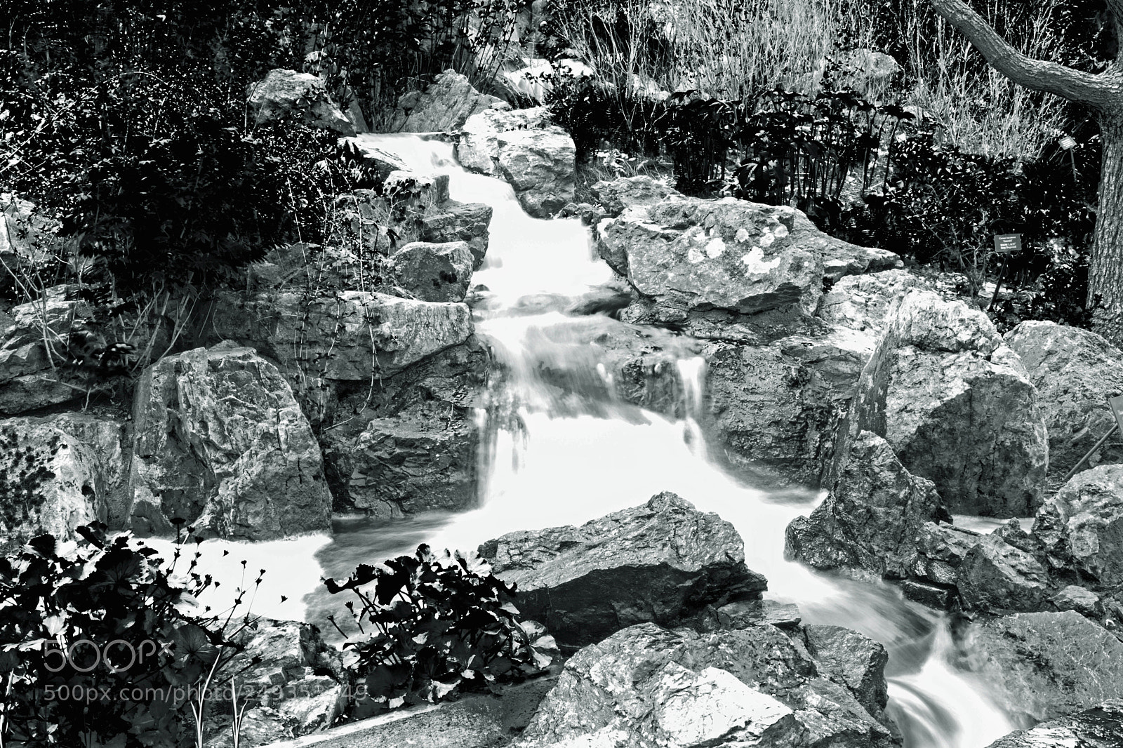 Nikon D5300 sample photo. Cascading water photography