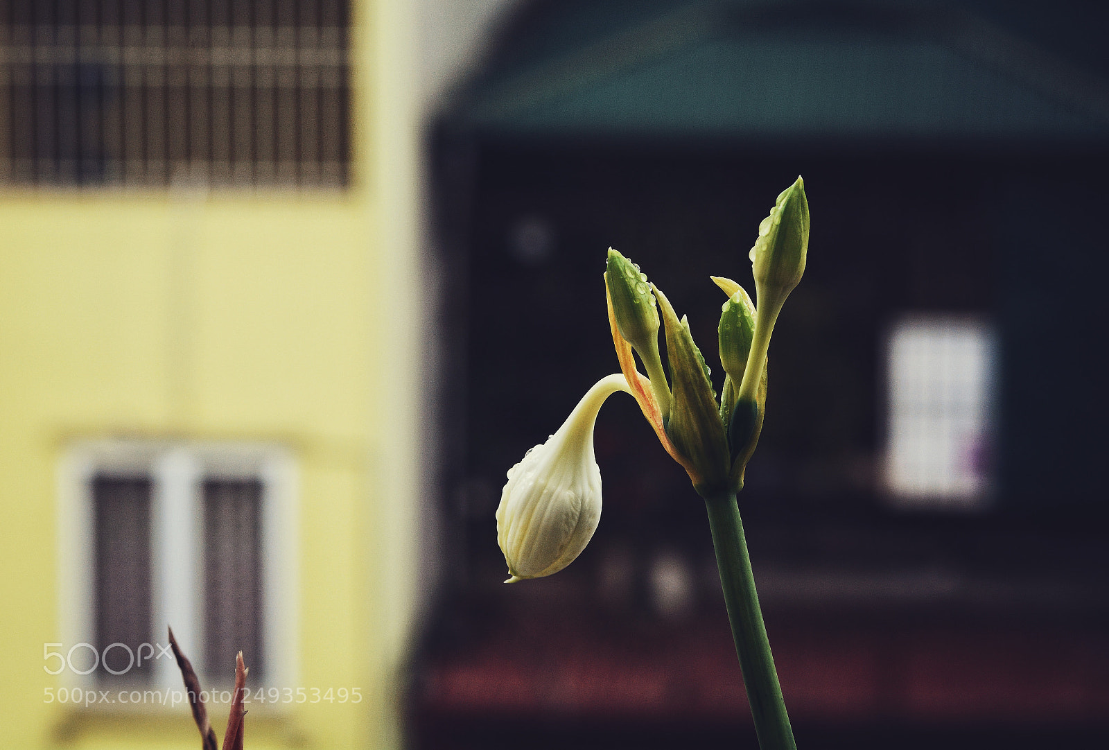 Nikon D7100 sample photo. Untitled photography