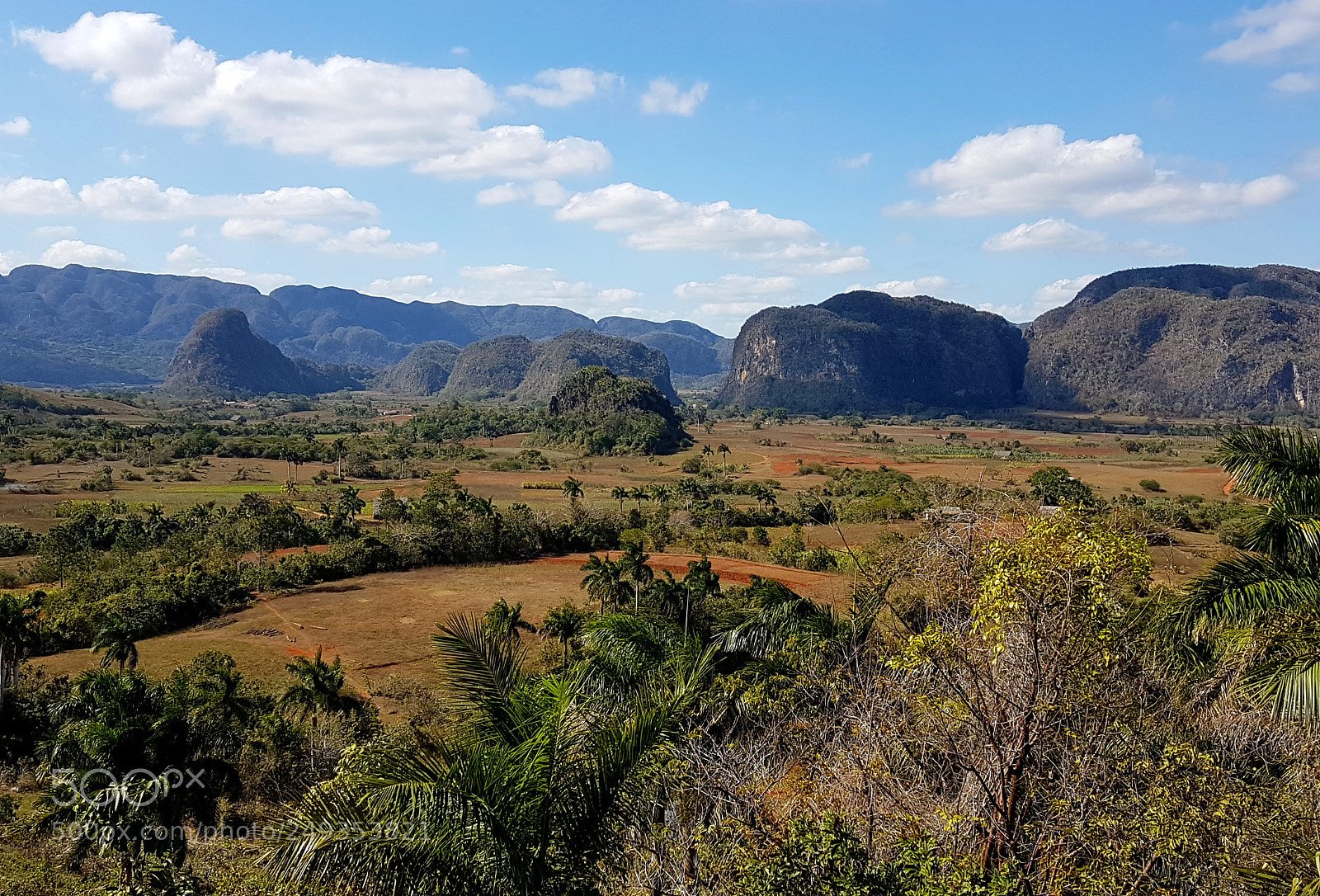 Samsung Galaxy S7 Edge sample photo. Tal von viñales photography