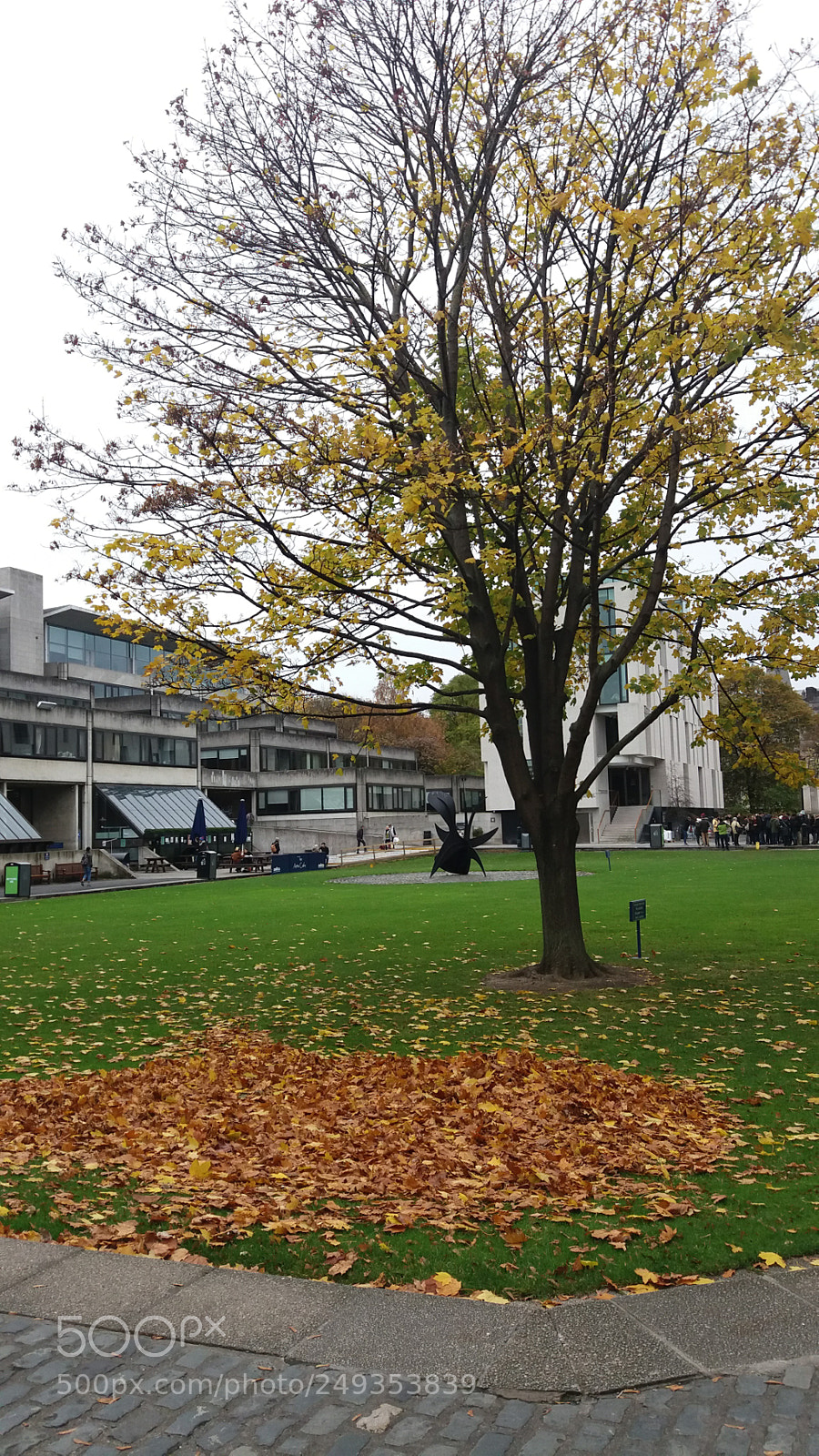 Samsung Galaxy J5 sample photo. Trinity college dublin photography