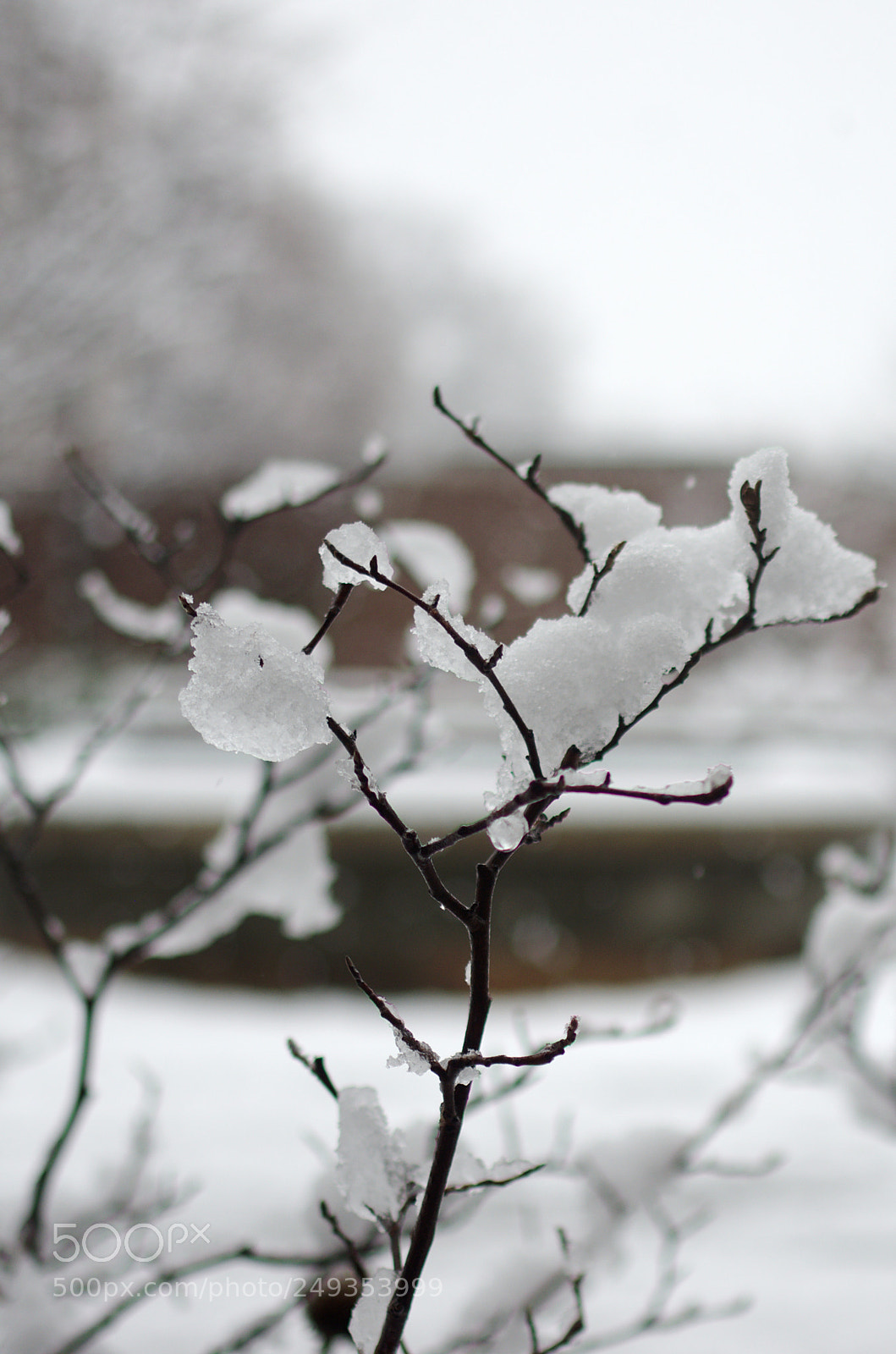 Pentax K-5 sample photo. Pxk photography