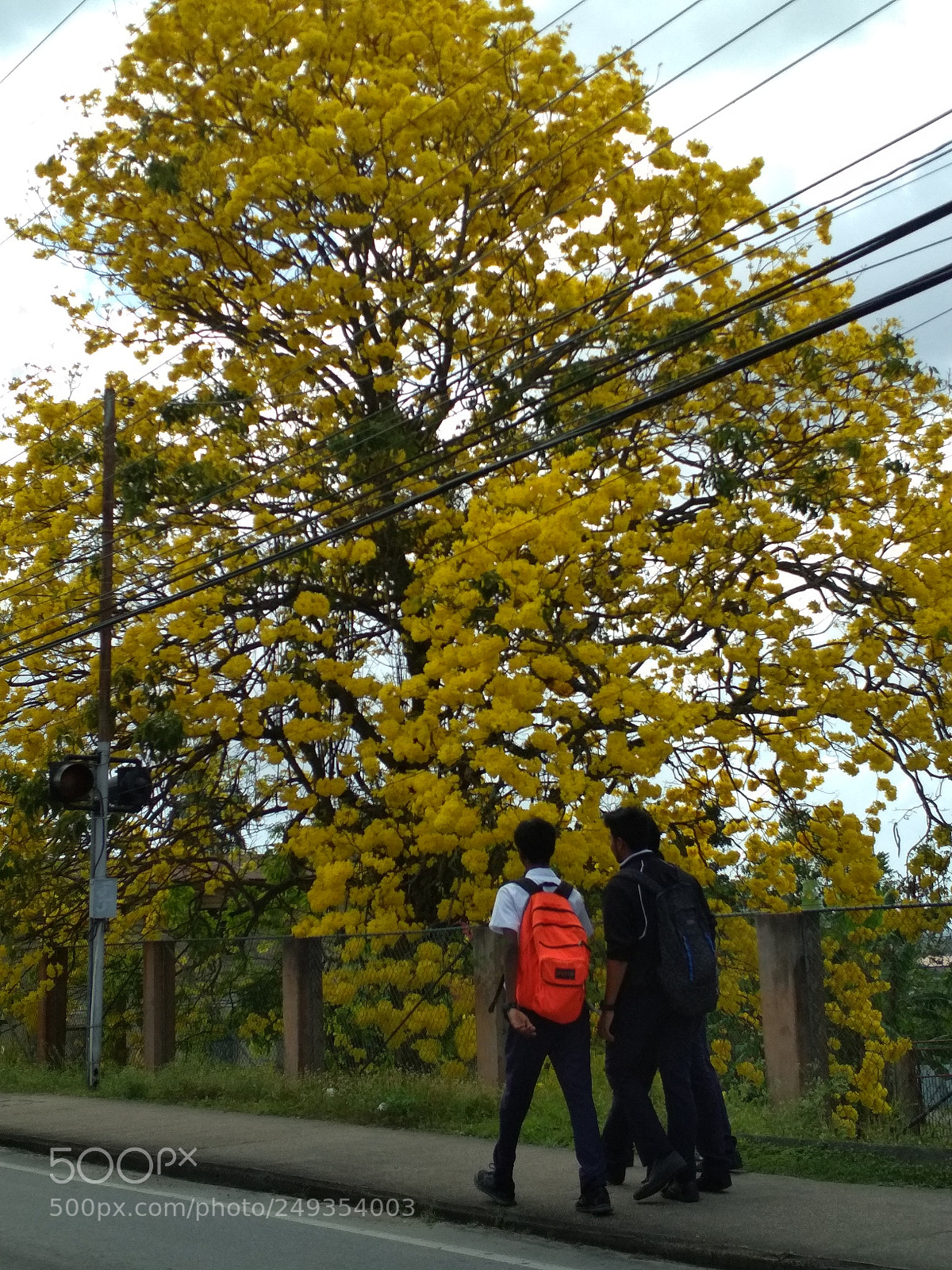 Xiaomi Redmi 4X sample photo. Untitled photography
