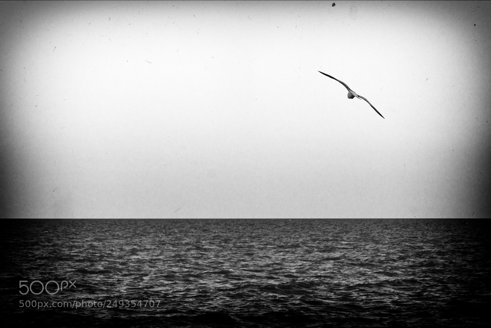 Nikon D7100 sample photo. Untitled photography