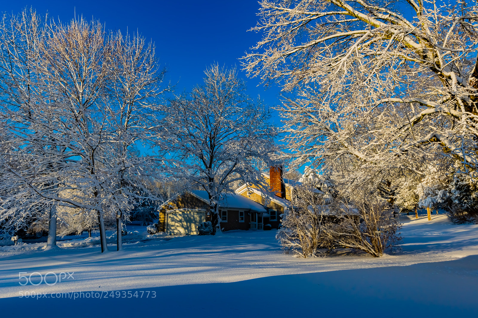 Canon EOS 750D (EOS Rebel T6i / EOS Kiss X8i) sample photo. The morning after ... photography