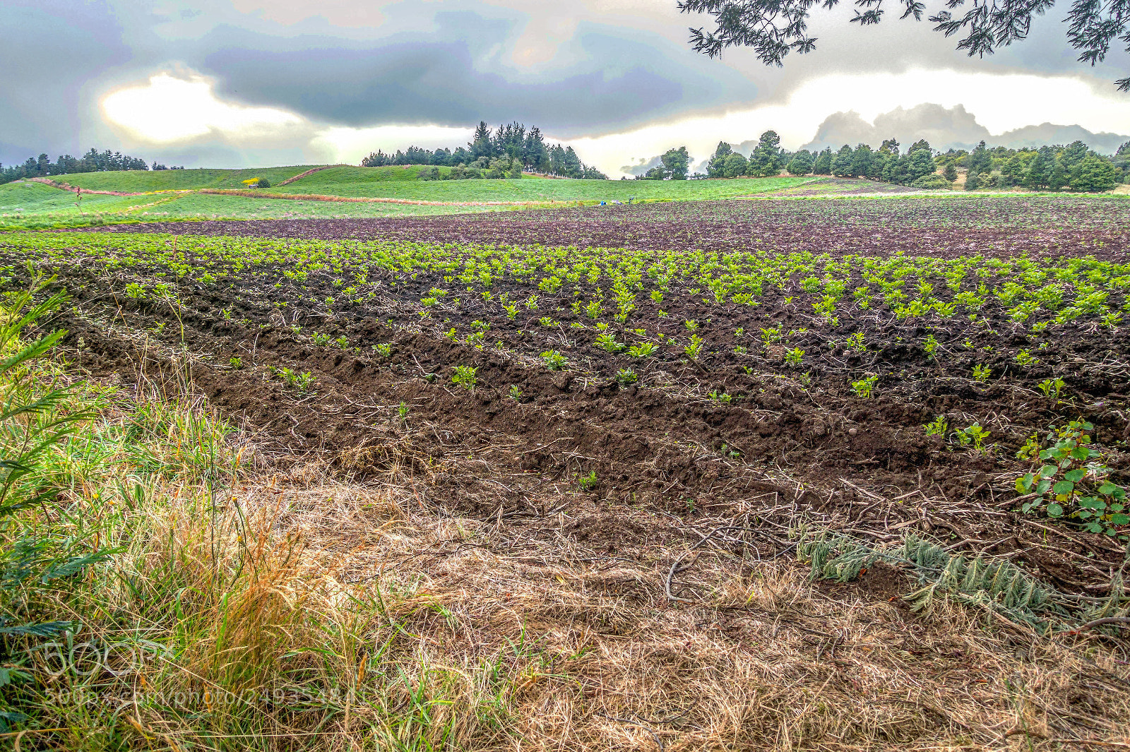Sony Cyber-shot DSC-RX100 III sample photo. Productive land photography