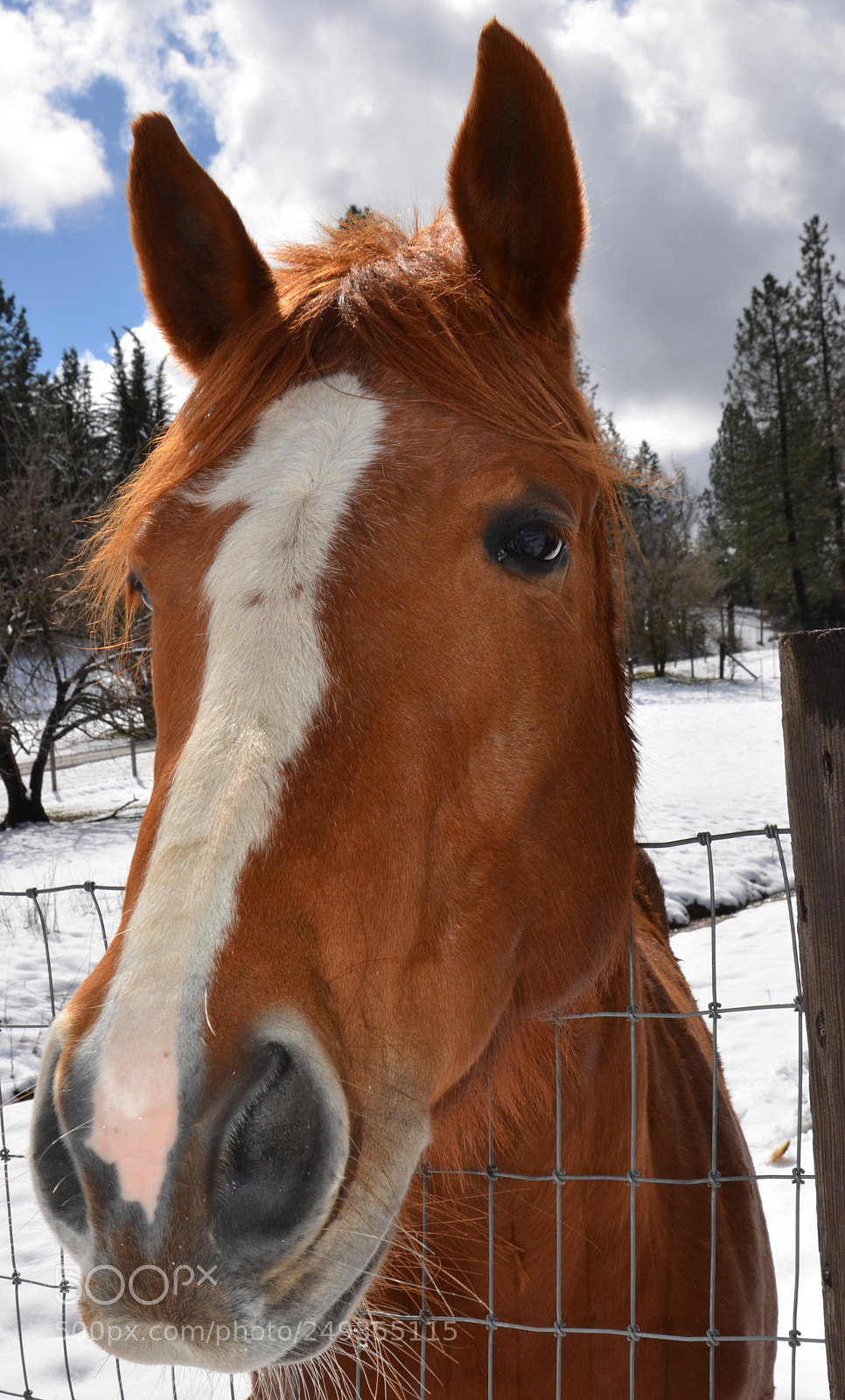 Nikon D7000 sample photo. Am i pretty photography