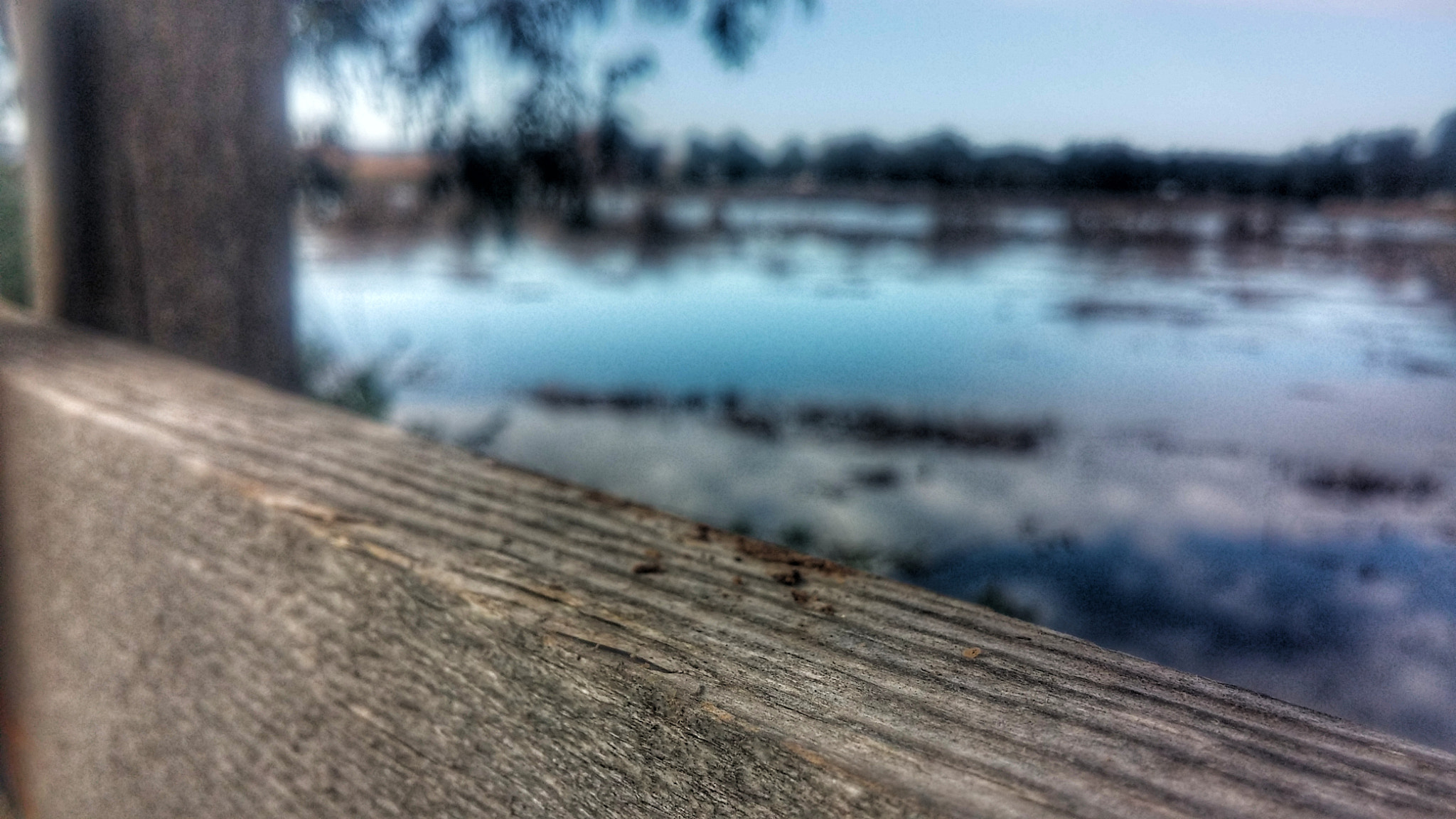 LG G2 sample photo